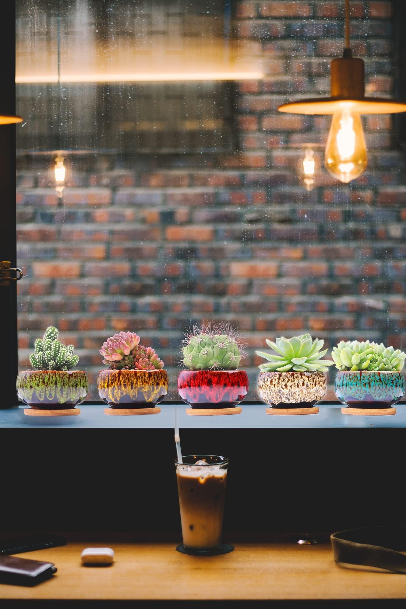 LAMDAWN Cute Ceramic Succulent Garden Pots, Planter with Drainage and Attached Saucer, Set of 5 -Plants Not Included (Round) - Image 4