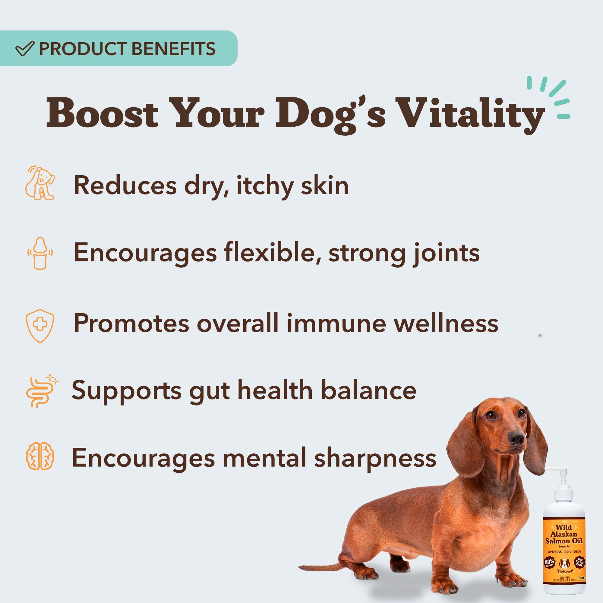 Natural Dog Company Wild Alaskan Salmon Oil Formula with Omega 3, Fish Oil for Dogs Supplement, Skin & Coat Dog Oil, Itchy Relief, Immune Support for Joints & Heart, Food Topper, 16 oz. - Image 3