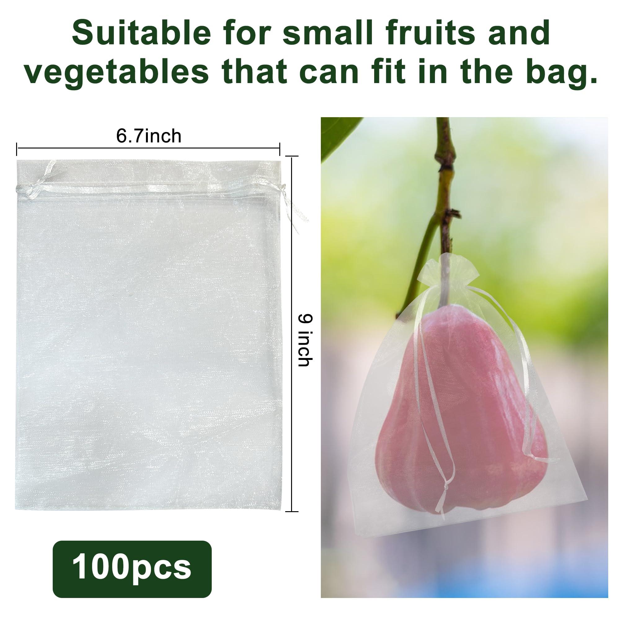 Daorfaa 100pcs Fruit Protection Netting Bags 9x6.7 inch, Netting Cover Bags Drawstring Mesh Fruit Protectors Pest Barrier for Grapes Mango Orange Apple Fruit Trees Veggies Garden - Image 2