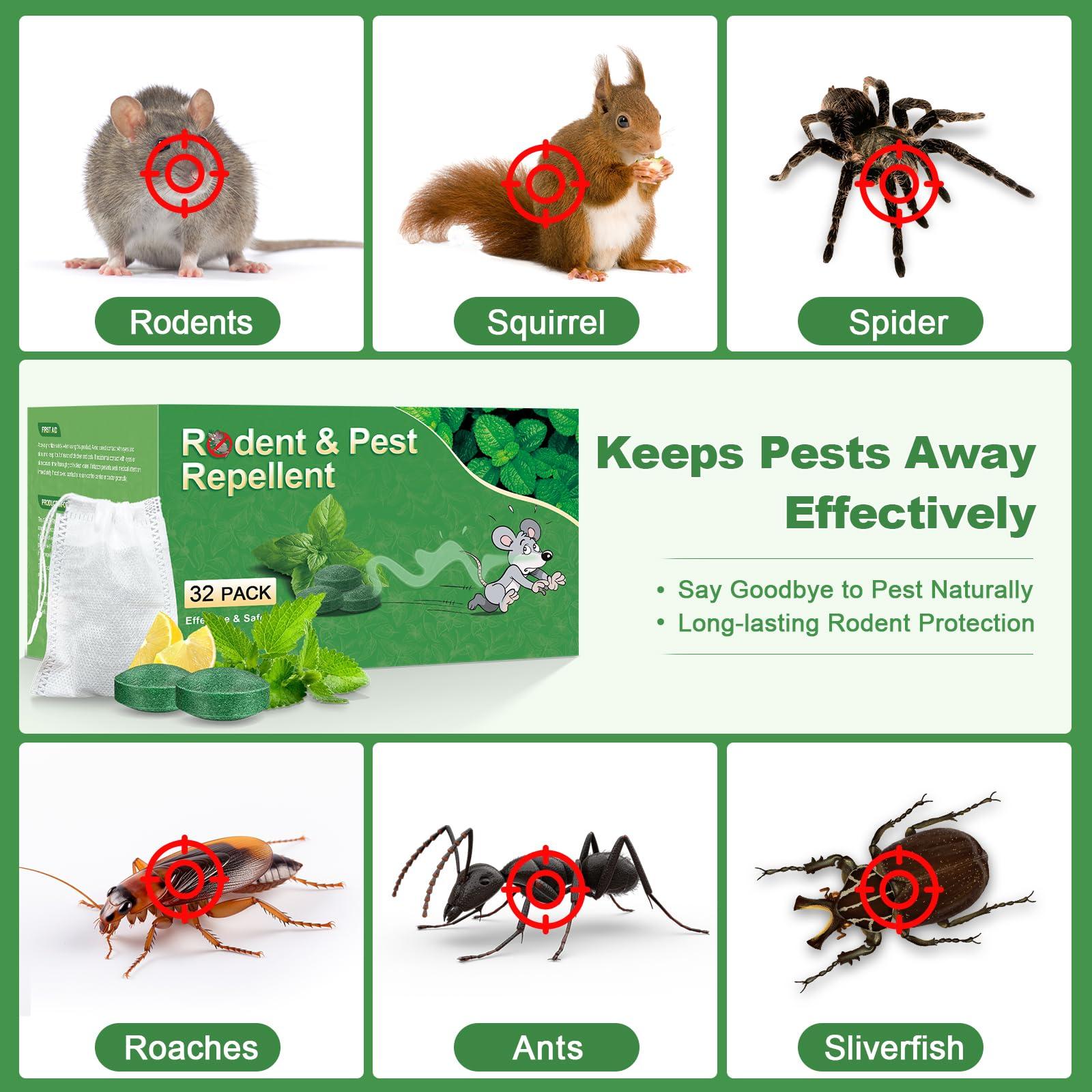 BOZFLY Mouse Rodent Repellent, 32 Pack Peppermint Oil Mice Repellent for Rats, Mice, Squirrels, Spiders and Pests, Indoor & Outdoor Natural Mouse Deterrent, Keeps Rodents Away from Garden & Home - Image 3