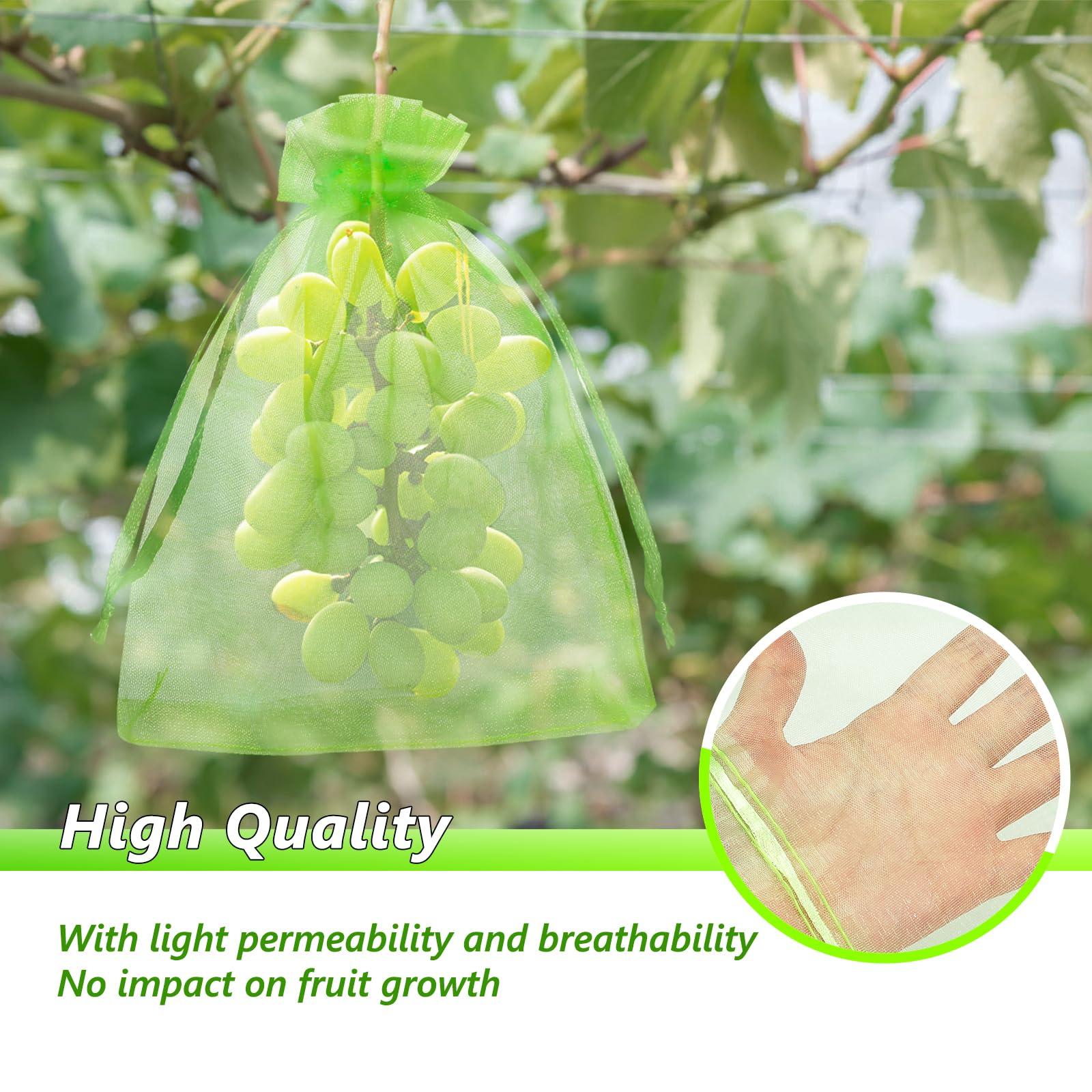 GWHOLE 50pcs 6x8 Inch Fruit Protection Bags, Fruit Cover Mesh Bags with Drawstring Fruit Tree Netting for Grape Melon Veggies Garden - Image 3