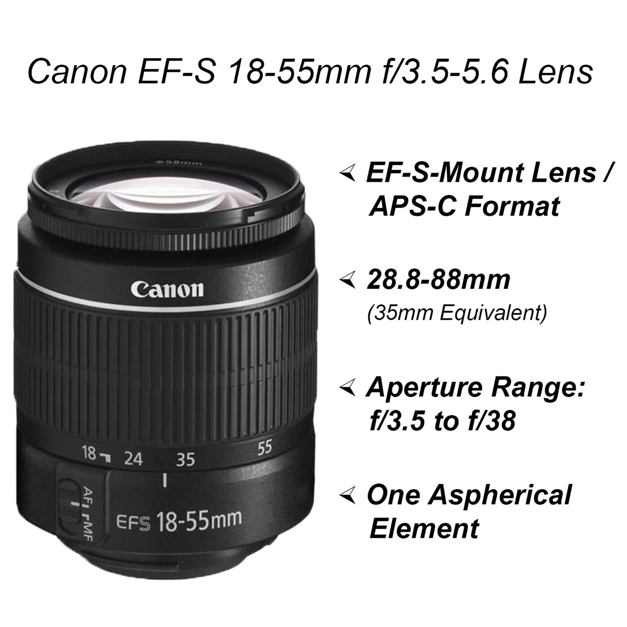 Canon EOS 2000D / Rebel T7 DSLR Camera with EF-S 18-55mm + EF 75-300mm Daul Lens + SanDisk 64GB Memory Card + Tripod + Case + Wideangle Lenses + ZeeTech Accessory Bundle (21pc Bundle) (Renewed) - Image 3