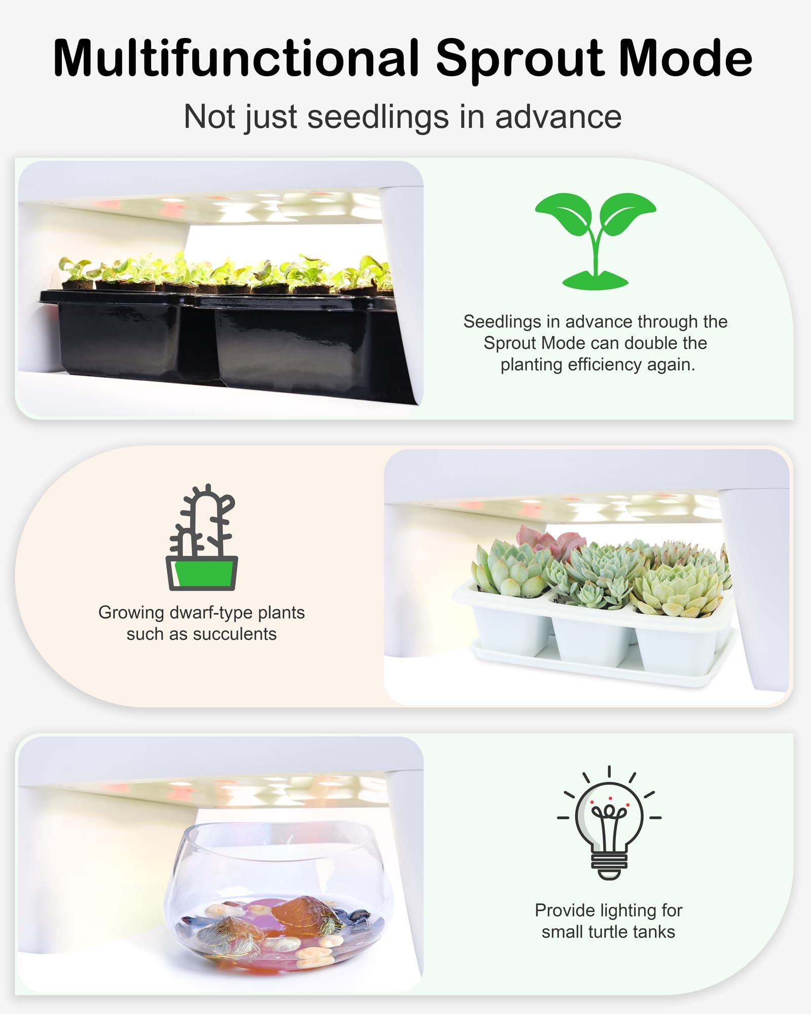 DRYADES Hydroponic Growing System Kit 16 Pods, Smart Herb Garden with Sprout Mode Can Seedling in Advance & 24W Full Spectrum LED Grow Light, Indoor Garden Planter for Home/Office/School (White) - Image 3