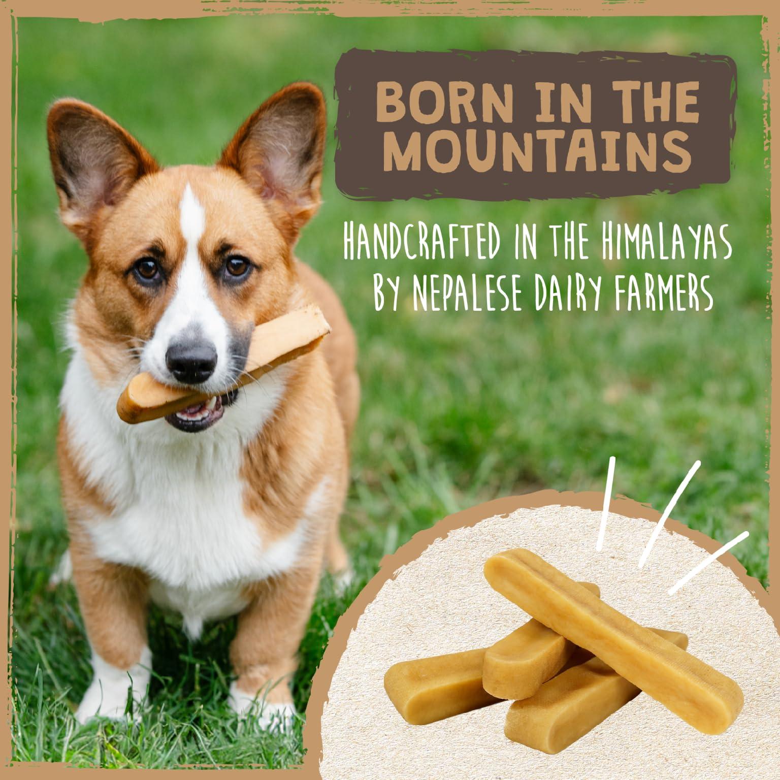 Mighty Paw Yak Cheese Dog Chews - All-Natural Treats for Dogs - High Protein Treat With 68 Grams Of Protein Per Chew - Delicious And Long Lasting - Odor Free With Limited Ingredients - (Large, 4 Pack) - Image 7
