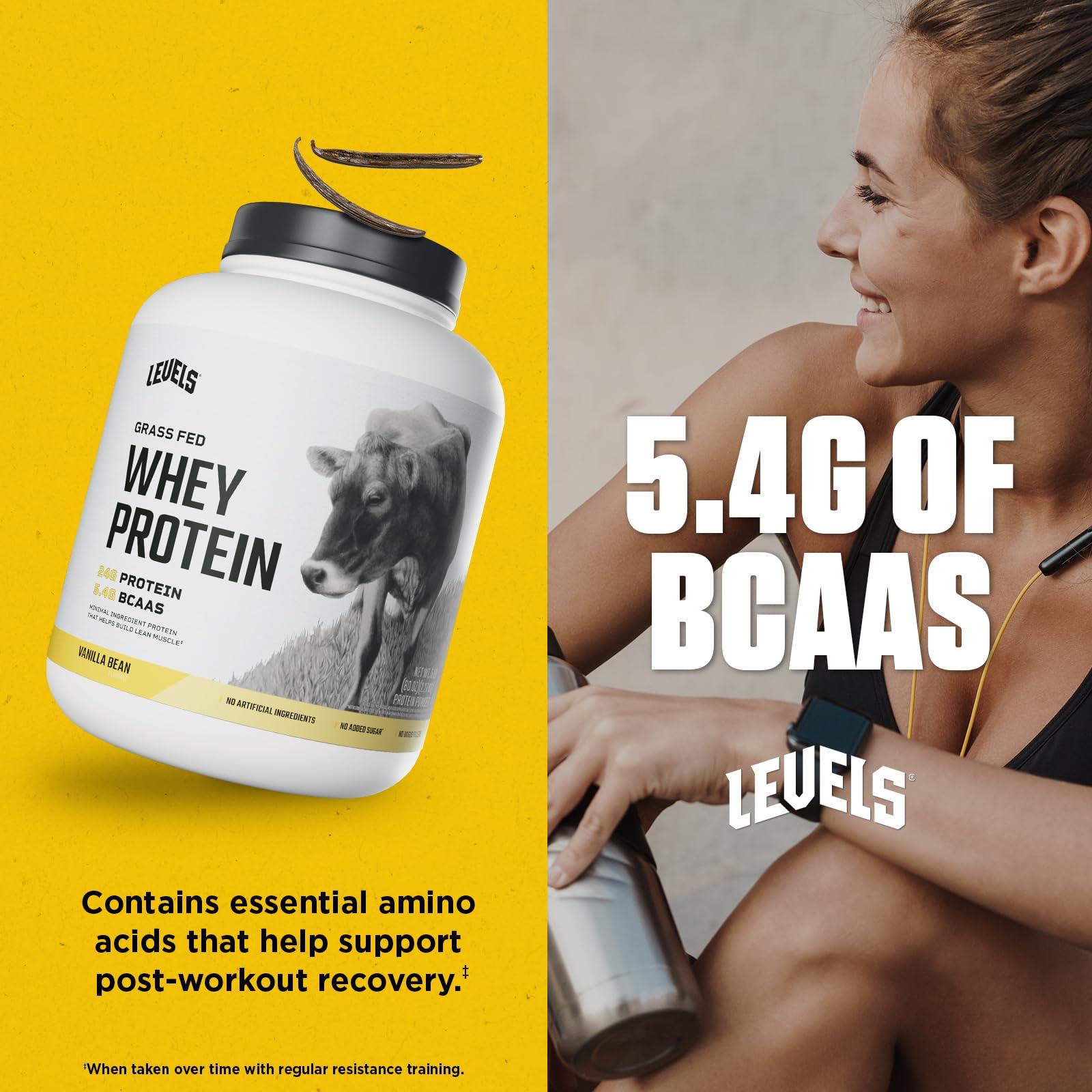 Levels Grass Fed Whey Protein Powder, No Artificials, 24G of Protein, Vanilla Bean, 5LB - Image 5