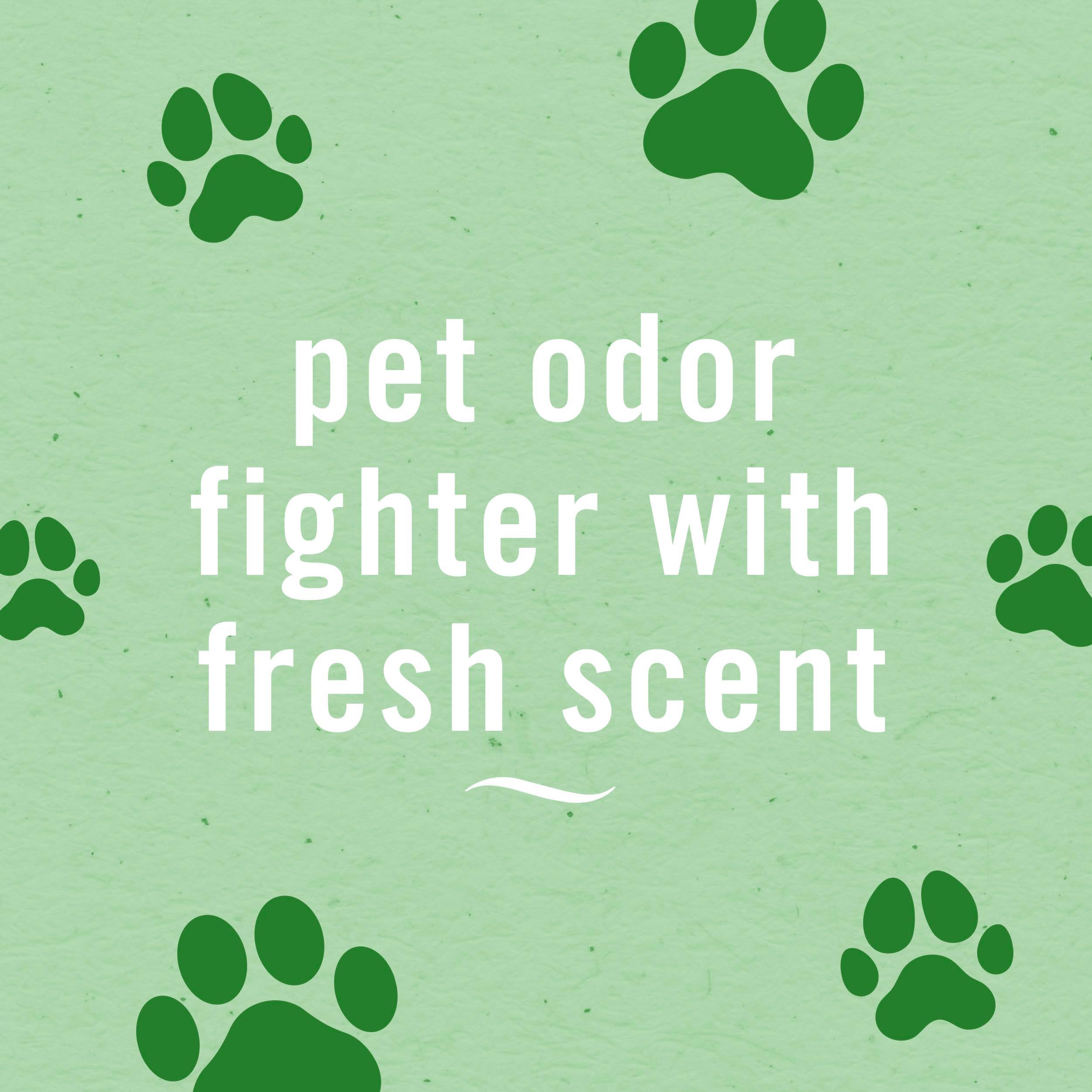 Febreze Air Mist Air Freshener Spray, Odor-Fighting Room Spray, Air Fresheners for Home and Bathroom and Kitchen, Aerosol Can, HD Pet Odor Fighter Scent, 8.8oz, 3 Count - Image 3