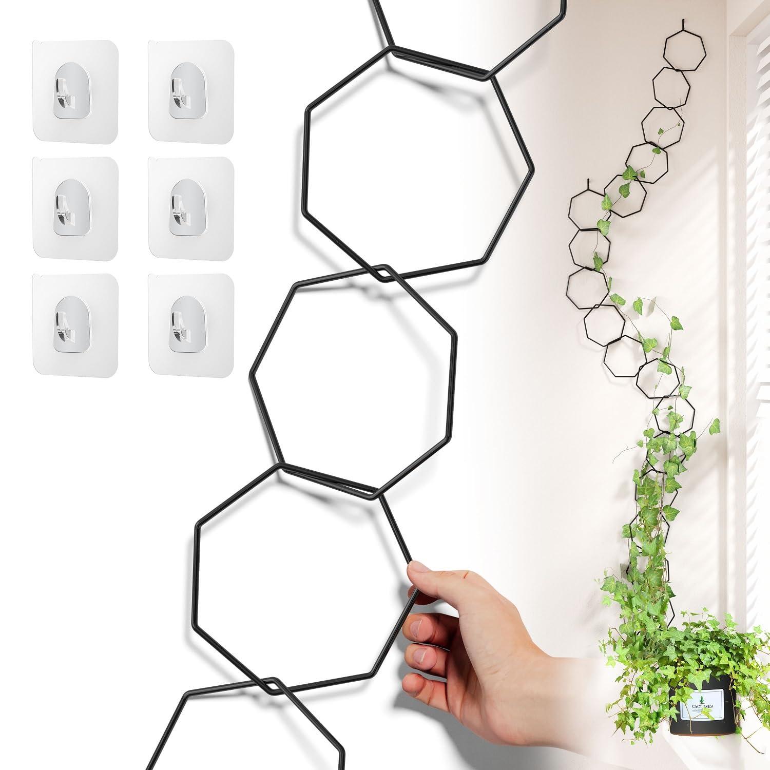 Chain Trellis for Climbing Plants - Versatile Indoor and Outdoor Accessories for Monstera, Pothos, Ivy, and Others | Support for Vines and Garden Wall Trellis (Black)