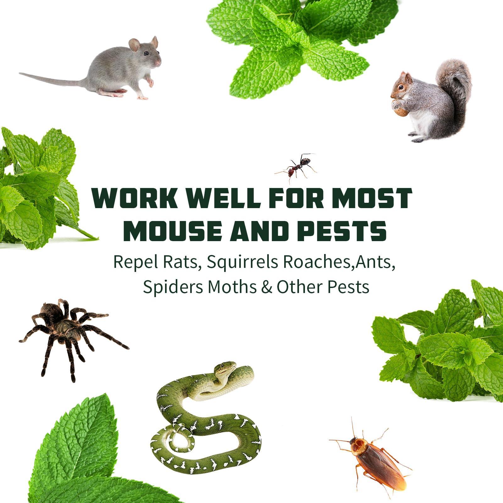 12 Pack Peppermint Oil to Repel Mice Natural for Home and Garden Protection- Pest Control Pouches for Repel Rats, Squirrels, Roaches, Ants, Spiders & Other Pests - Image 7