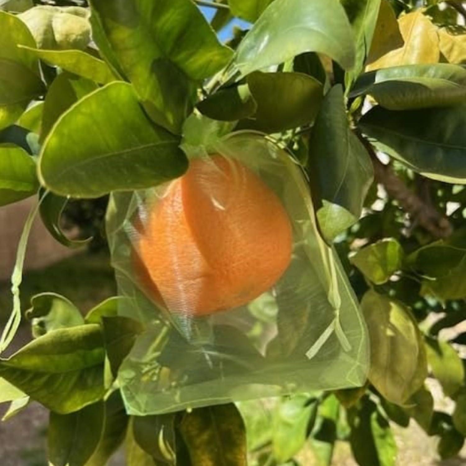 30 Pcs 5.9''×7.8'' Drawstring Fruit Netting Bags, Reusable Garden Netting Bags, Medium Fruit Protection Bags, Fruit Cover Mesh Bag for Fruit Trees Vegetable Floral - Image 5