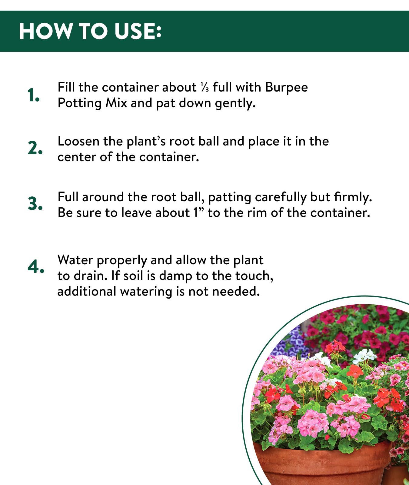 Burpee, 9 Quarts | Premium Organic Potting Natural Soil Mix Food Ideal for Container Garden-Vegetable, Flower & Herb Use for Indoor Outdoor Plant - Image 5