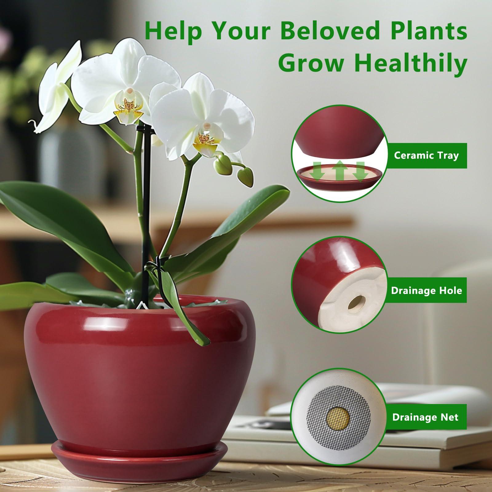 Ceramicfor Ceramic Pot for Plants - 6 Inch Plant Pot Indoor with Drainage Hole and Saucer Succulent Outdoor Planter Round Flower Pot for House Patio Decor Red - Image 6