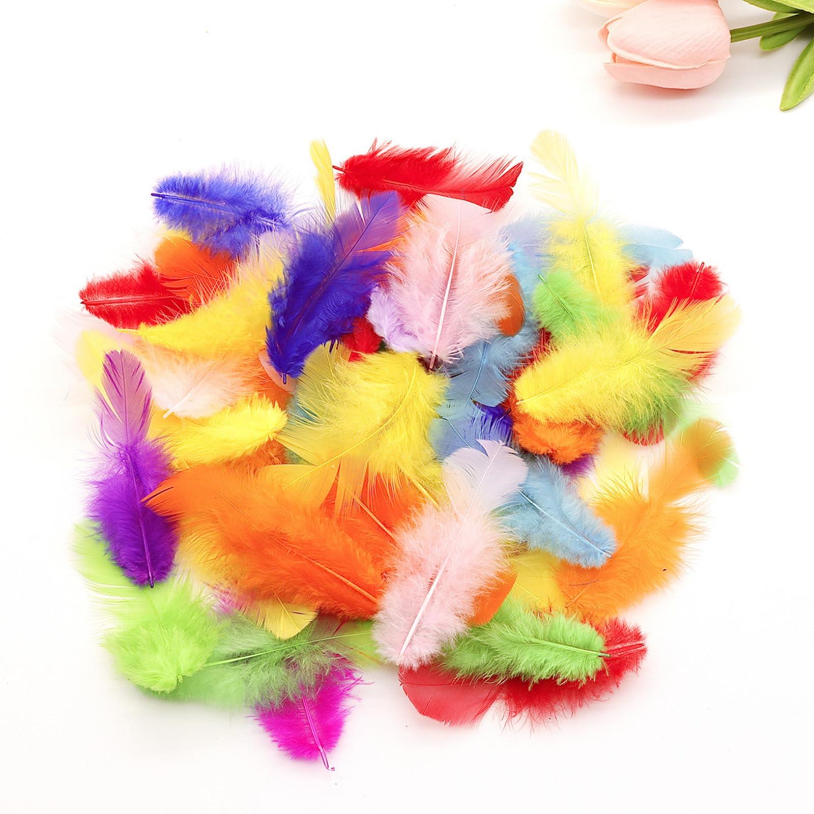 800Pcs Colorful Craft Rooster Feathers 3-5-inch Bulk Feathers for Crafting Kindergarten DIY Crafts, Wedding, Family Party Decorations, Dream Catcher Supplies, Natural Feathers - Image 2