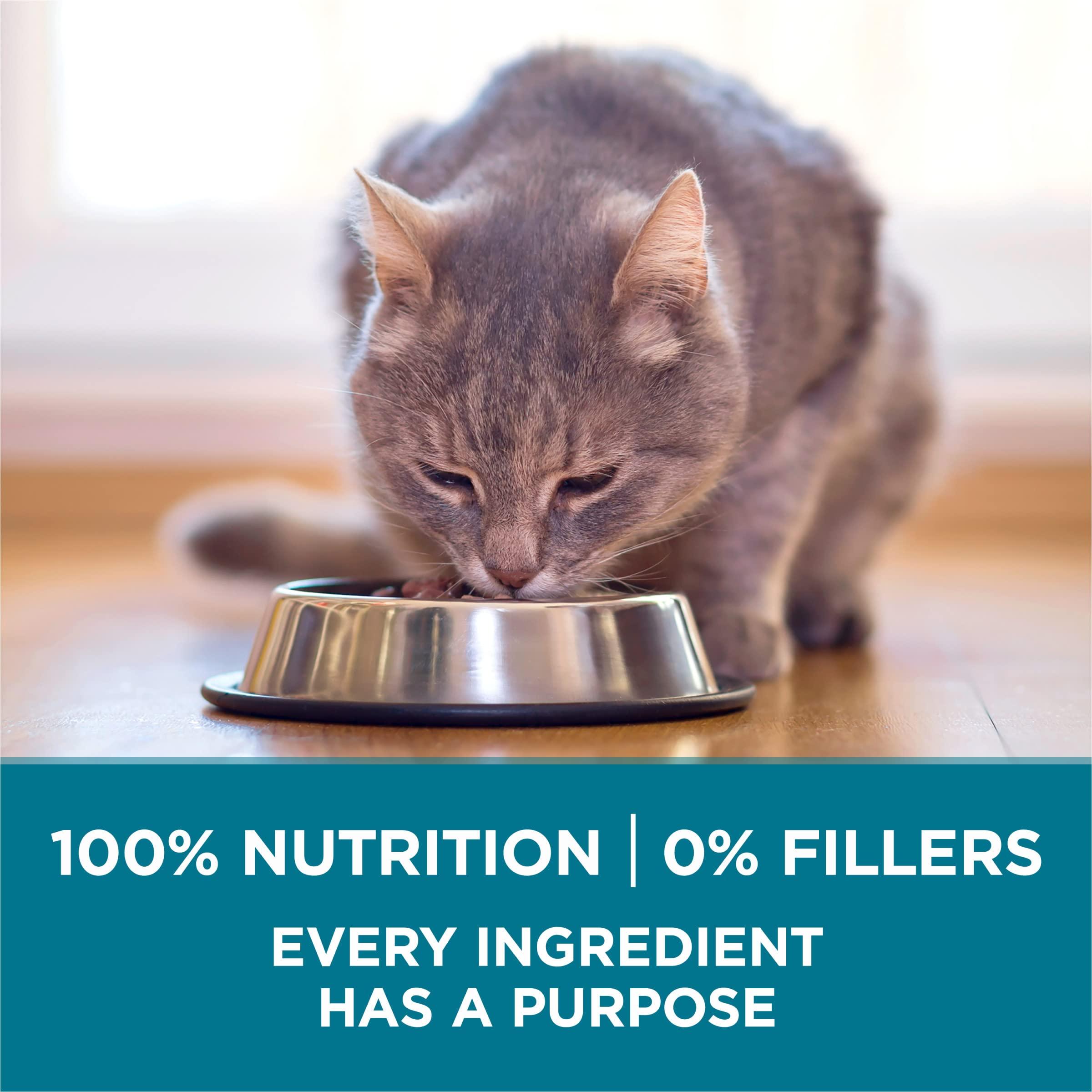 Purina ONE Natural Dry Cat Food, Tender Selects Blend With Real Chicken - 7 lb. Bag - Image 8