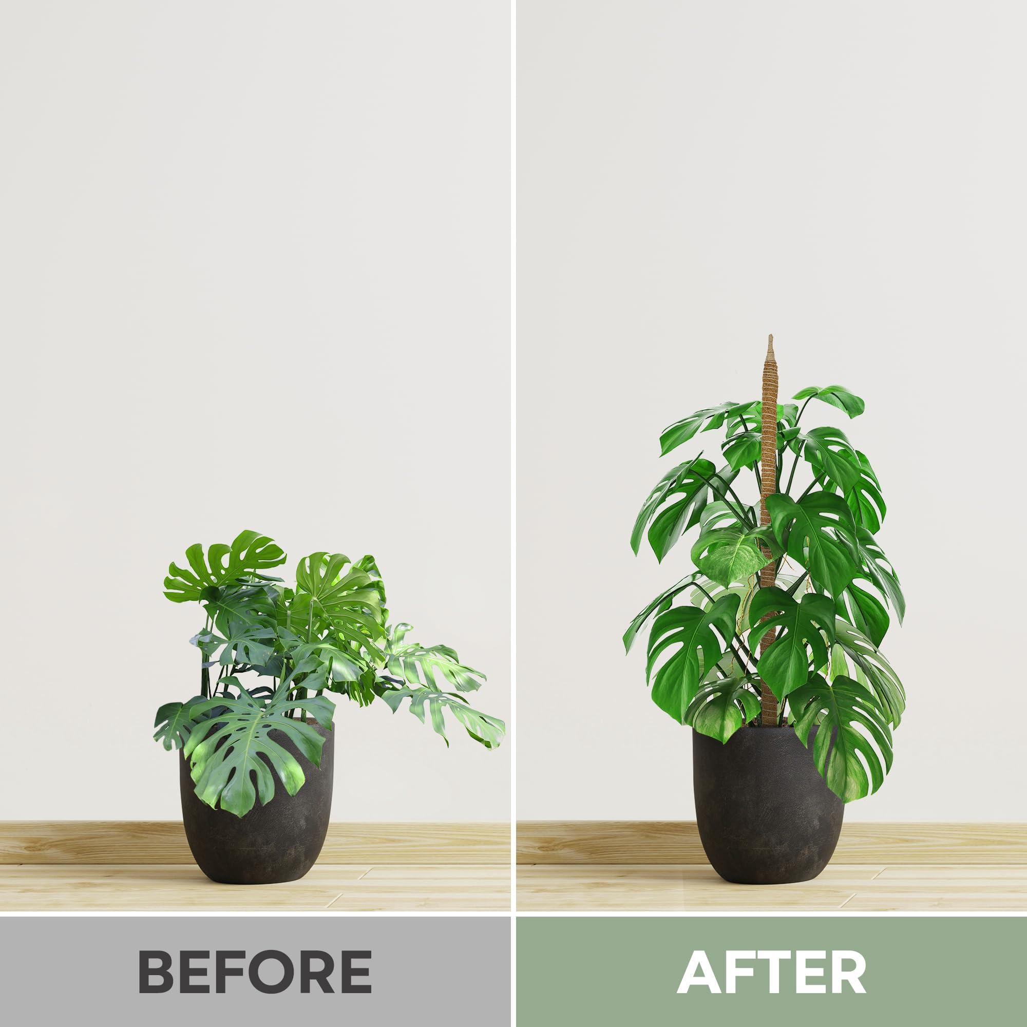 2 Pack 28'' Bendable Moss Pole Monstera Plant Support for Climbing Indoor Plants - Stakes for Potted Climbers - Tall Sticks Indoor Trellis for Houseplants - Accessories for Monstera Pot - Image 6