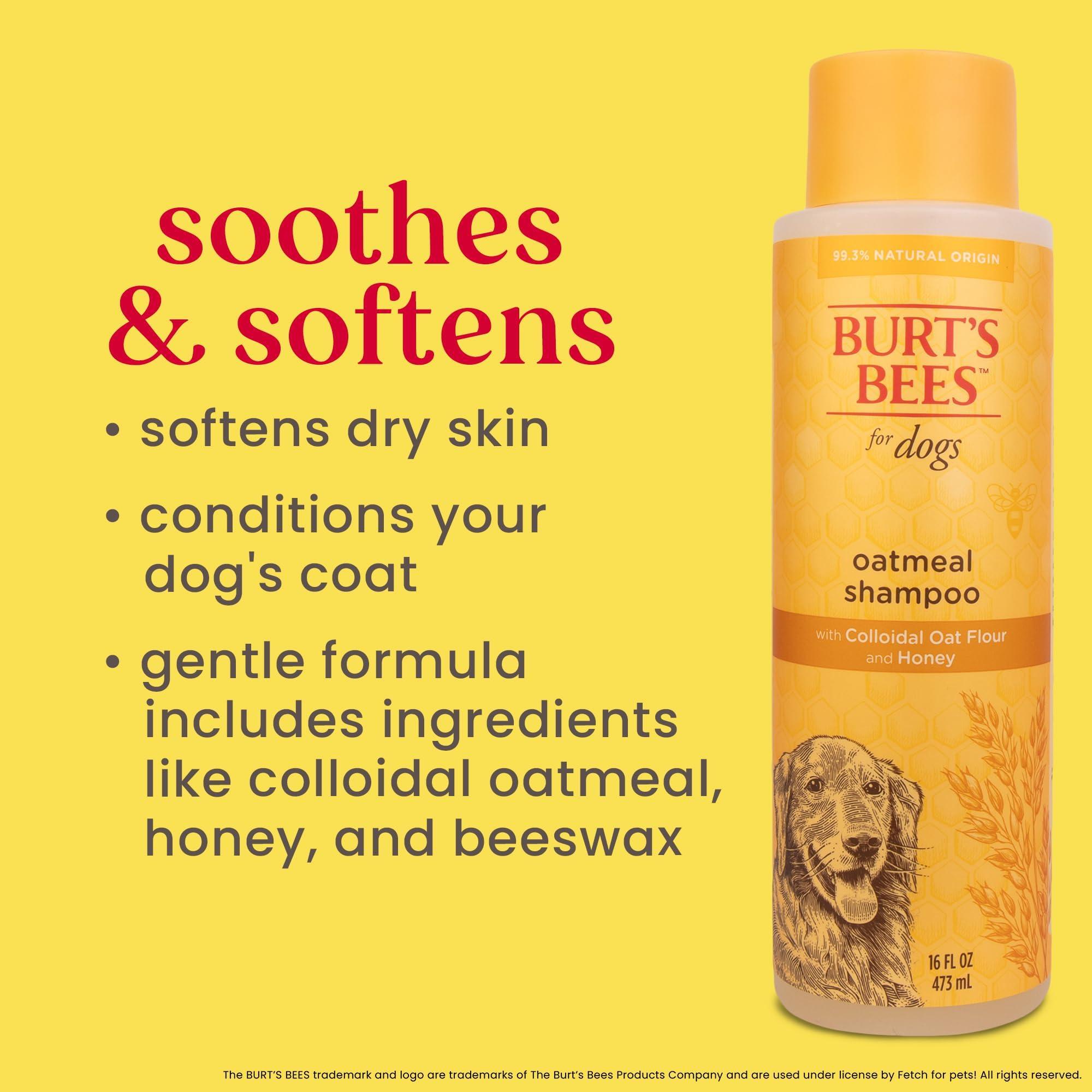 Burt's Bees for Pets Oatmeal Dog Shampoo with Colloidal Oat Flour and Honey, 95% Natural Origin Formulas, Shampoo for Dogs - Gentle Dog Shampoo, Best Dog Shampoo, 16 oz - Image 6