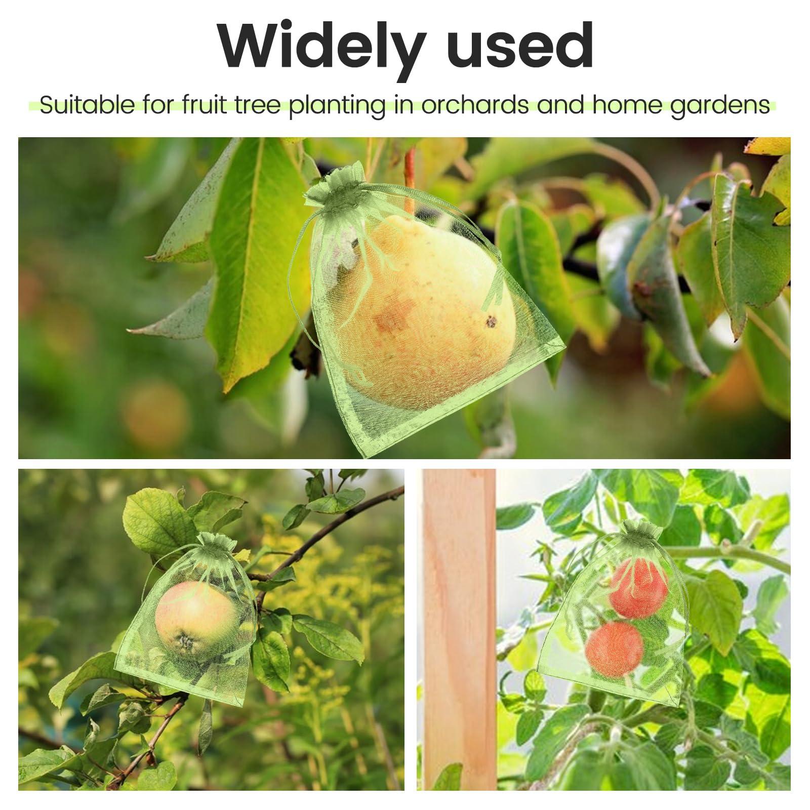 100 PCS Green Fruit Protection Bags, 4 × 6 Inch Small Drawstring Mesh Bags, Reusable Netting Fruit Protection Bags for Fruit Trees, Green Bag for Fruits Vegetables Plant - Image 7