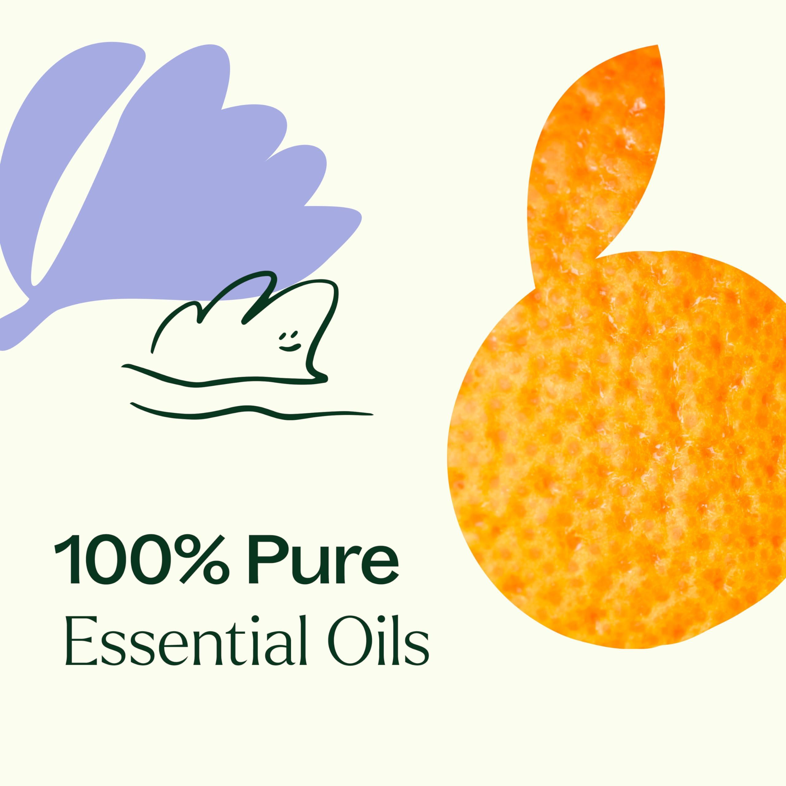 Plant Therapy KidSafe Calming The Child Essential Oil Blend 10 mL (1/3 oz) Relaxation and Soothing Blend, Tangerine, Lavender, & Roman Chamomile Essential Oils, Pure, KidSafe Pre-Diluted Roll-On - Image 6