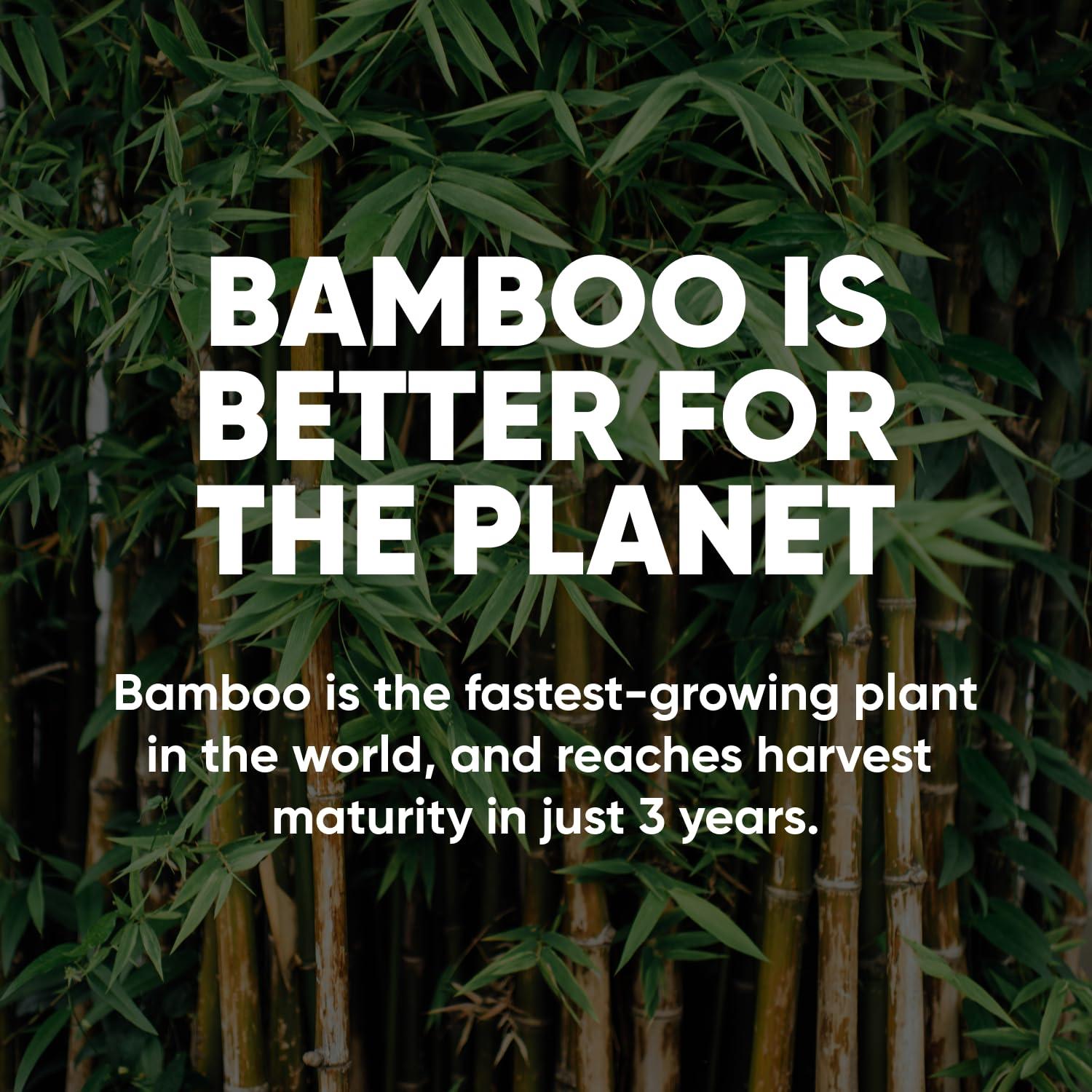 Save Trees Bamboo Toilet Paper -24 Rolls Of Septic Safe Organic Toilet Paper 3-ply, 300 Sheets Per Roll - PFAs Free, FSC Certified, Plastic & Chemical Free - For Home, Boat & RV Use - Image 8