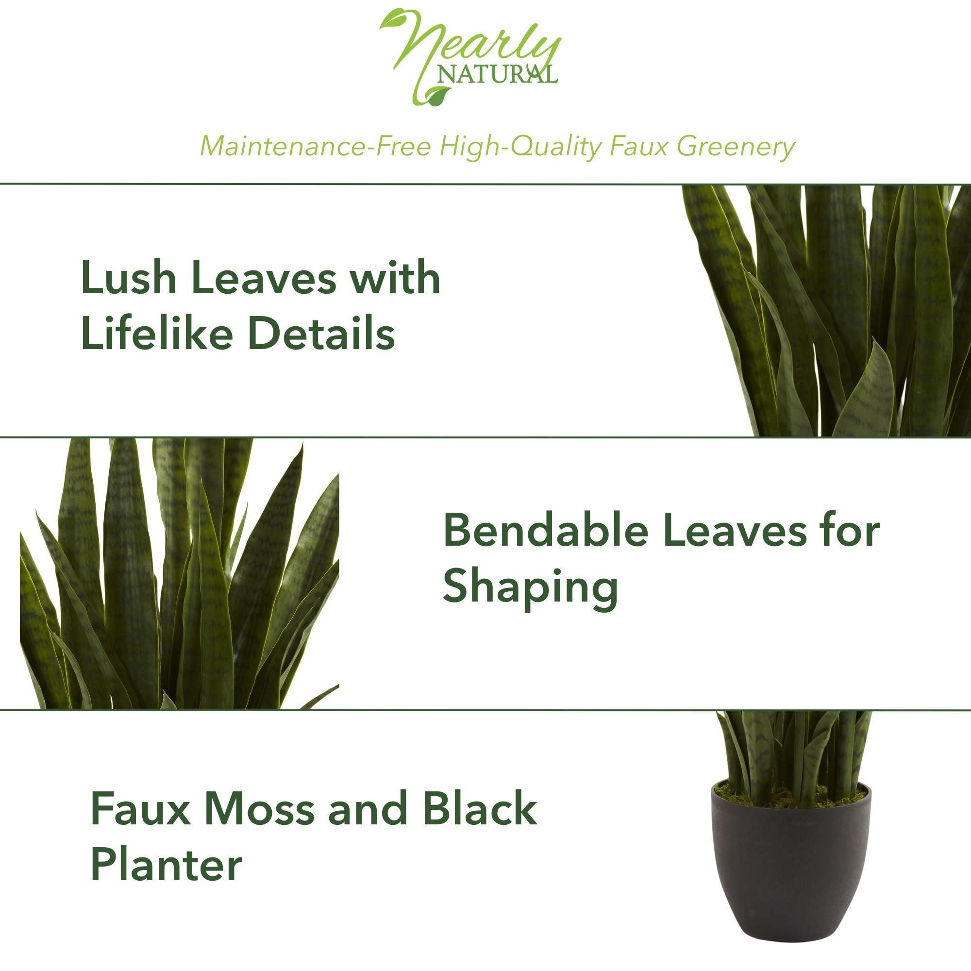 Nearly Natural, Green 4855 35in. Sansevieria with Black Planter - Image 3