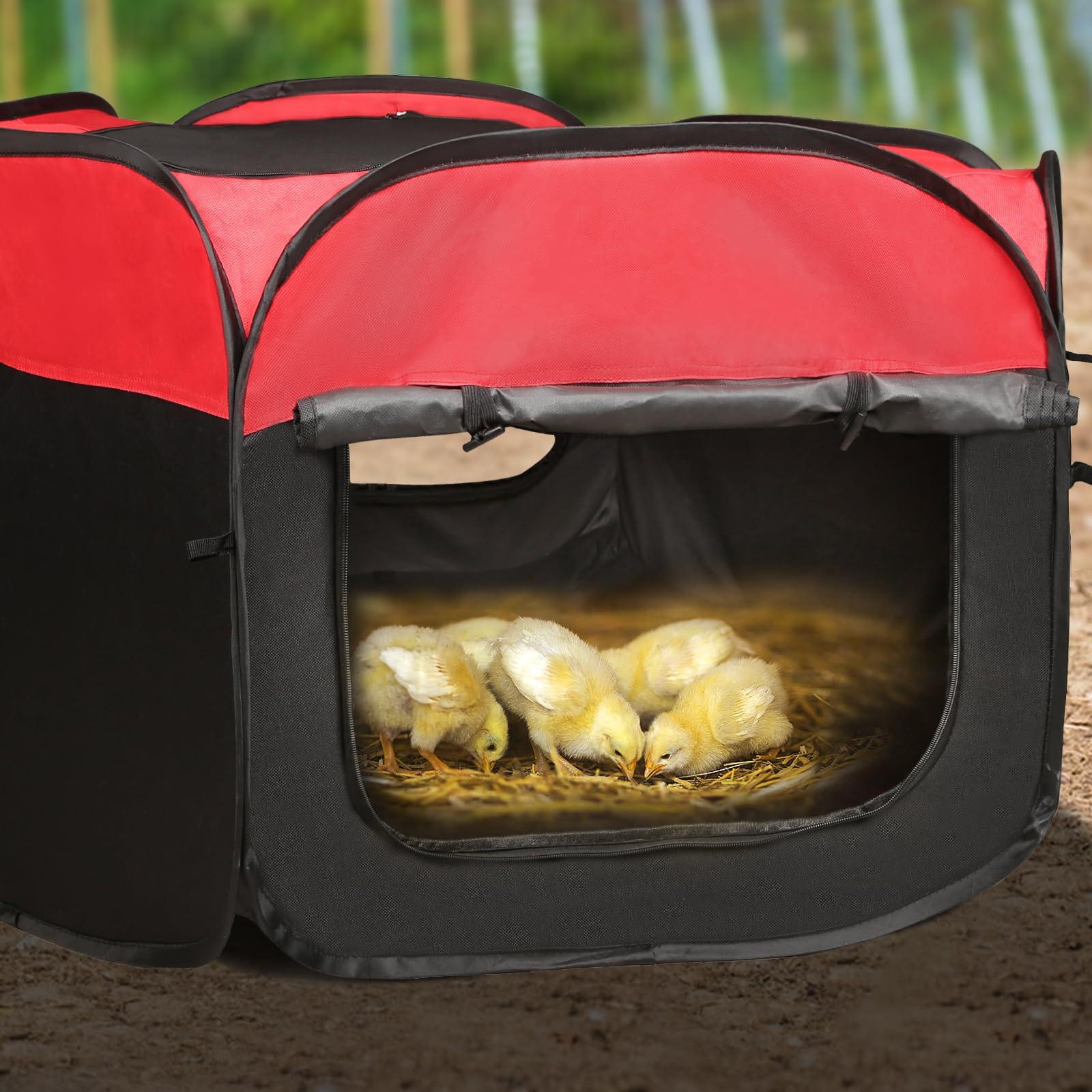 Chicken Brooder Box for Chick Starter Kit - 2025 Upgrade Double Door Chick Brooder Pen/Chicken Playpen/Chick Tent Baby Chickens Supplies Up to 15 Baby Chicks,Duck,Quail - Image 2