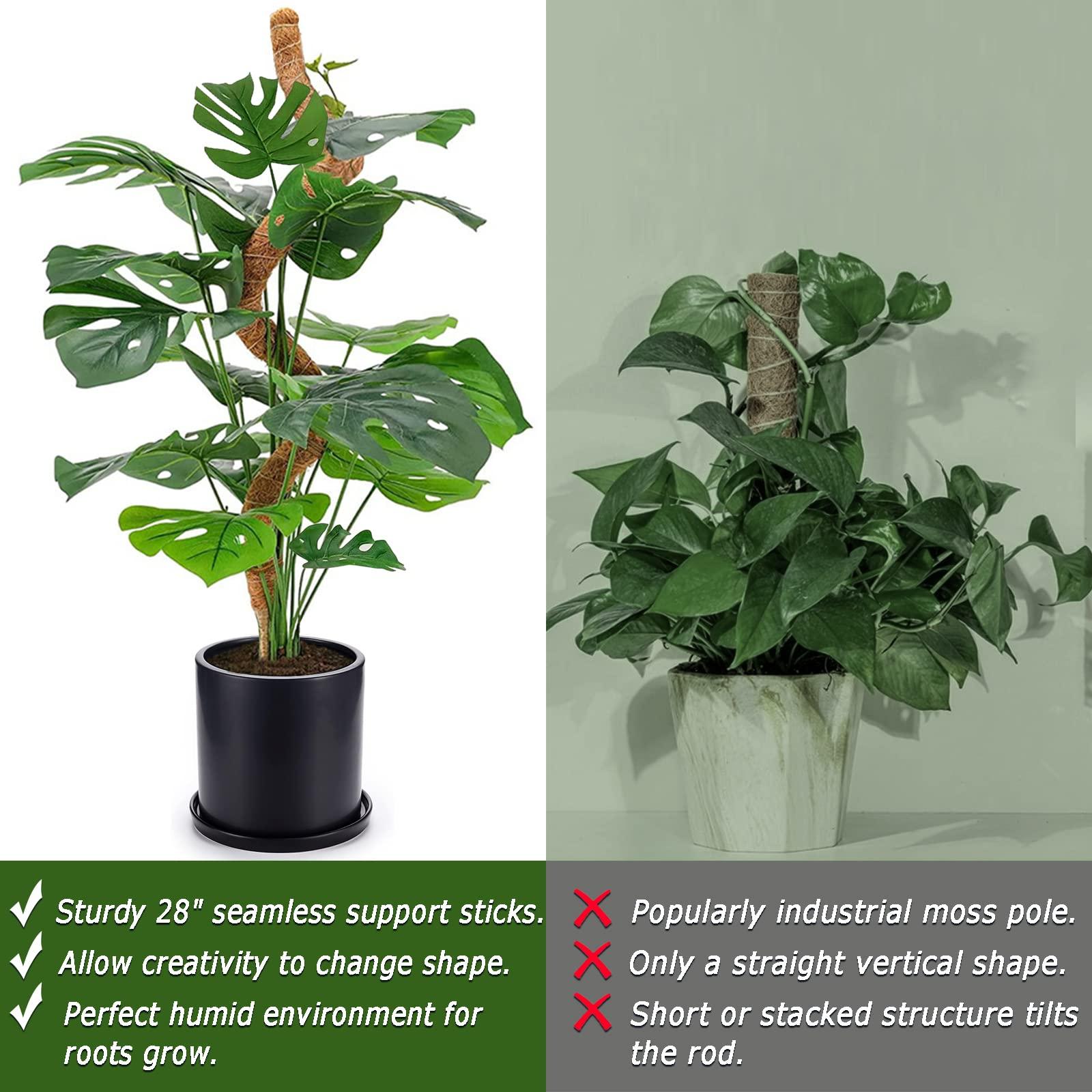 2 Pack Moss Pole, 28 Inch Bendable Moss Pole for Plants Monstera, Moss Poles for Climbing Plants Indoor, Coir Plant Pole Sticks Support Stakes for Potted Plant, Pothos, Philodendron - Image 6