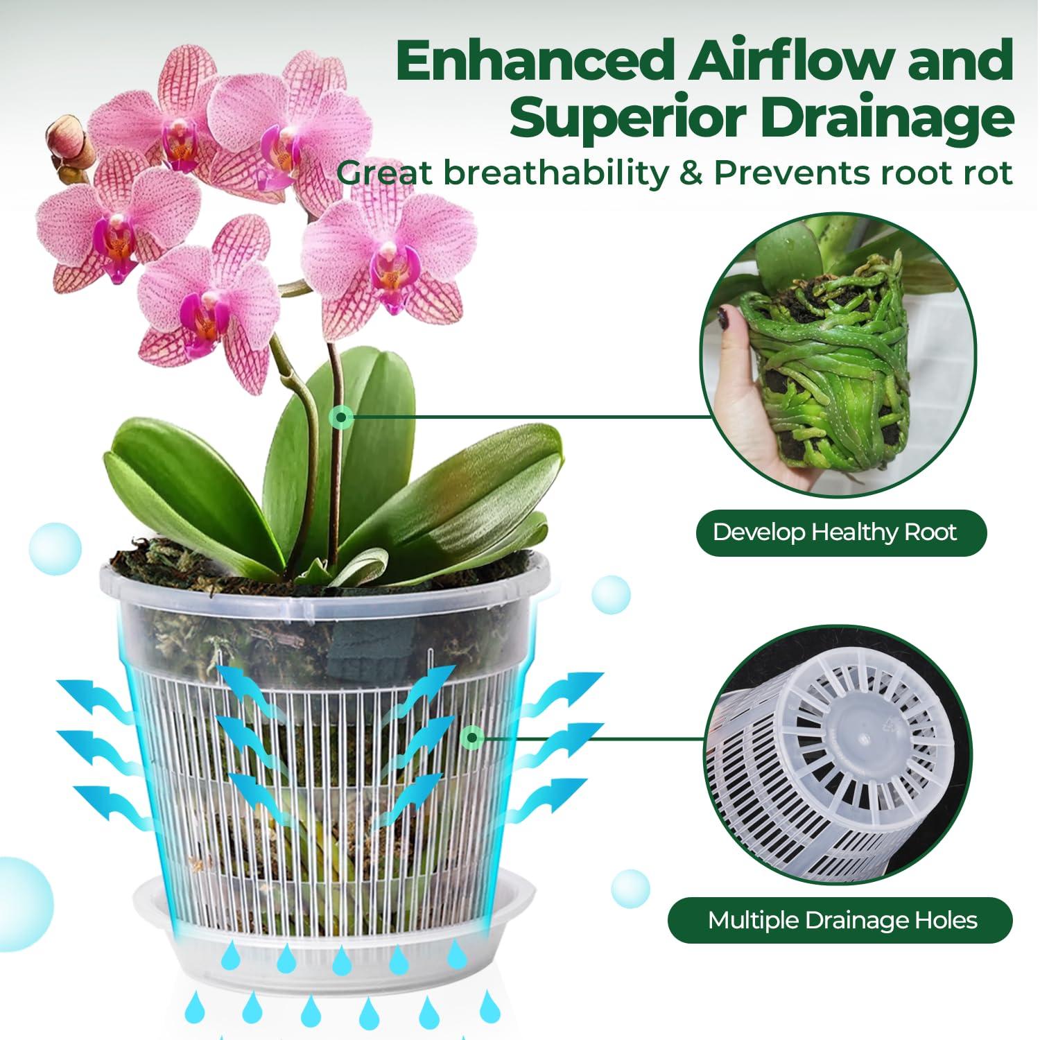 T4U Orchid Pot, 6 Pack 6.3 Inch Orchid Pots with Holes and Saucers, Clear Orchid Pots for Repotting, Plastic Flower Plant Pot for Indoor Outdoor Plants, Slotted Orchids Planter for Root Health - Image 4