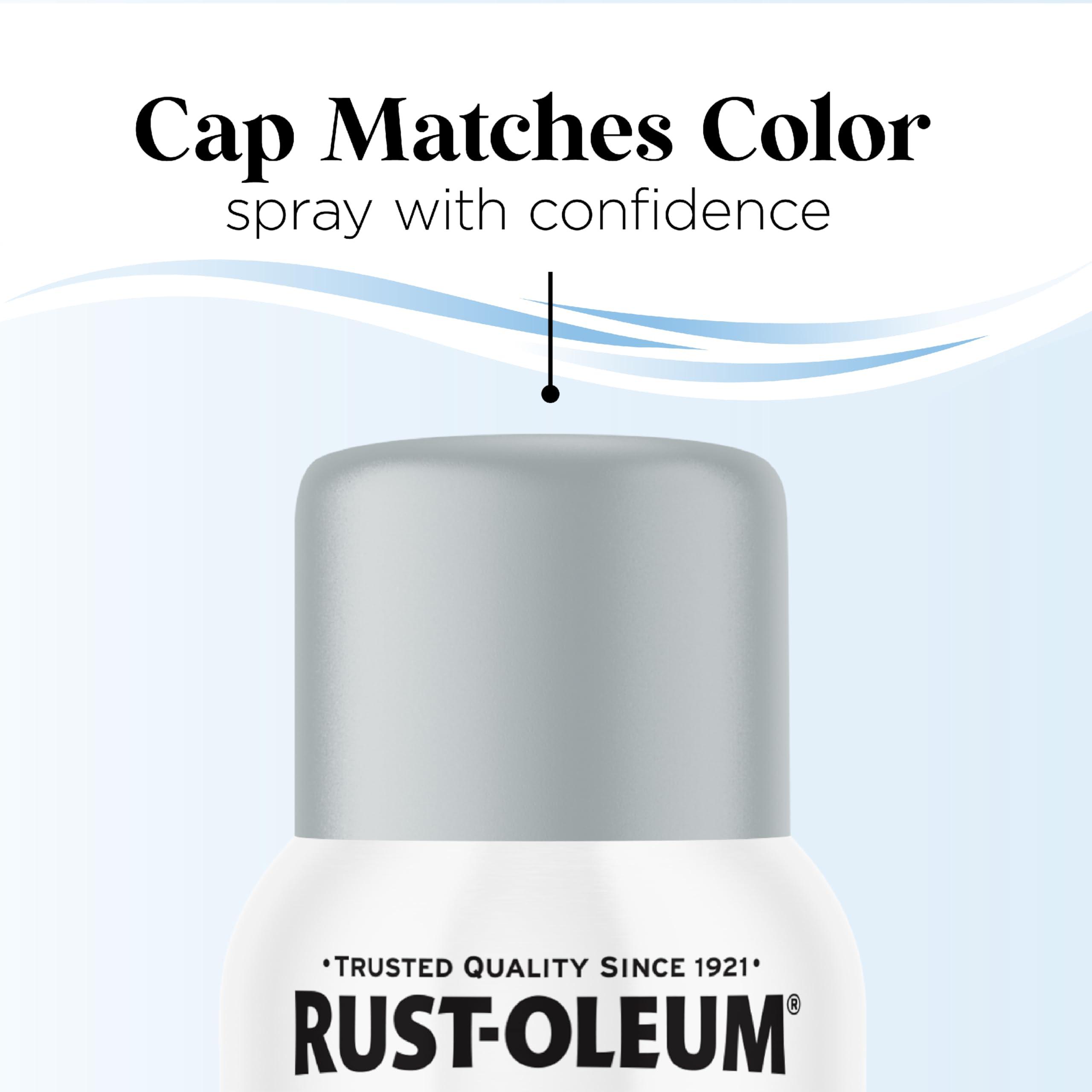 Rust-Oleum Low Odor Premium Spray Paint, 11 oz, Matte Daydreaming - Image 8