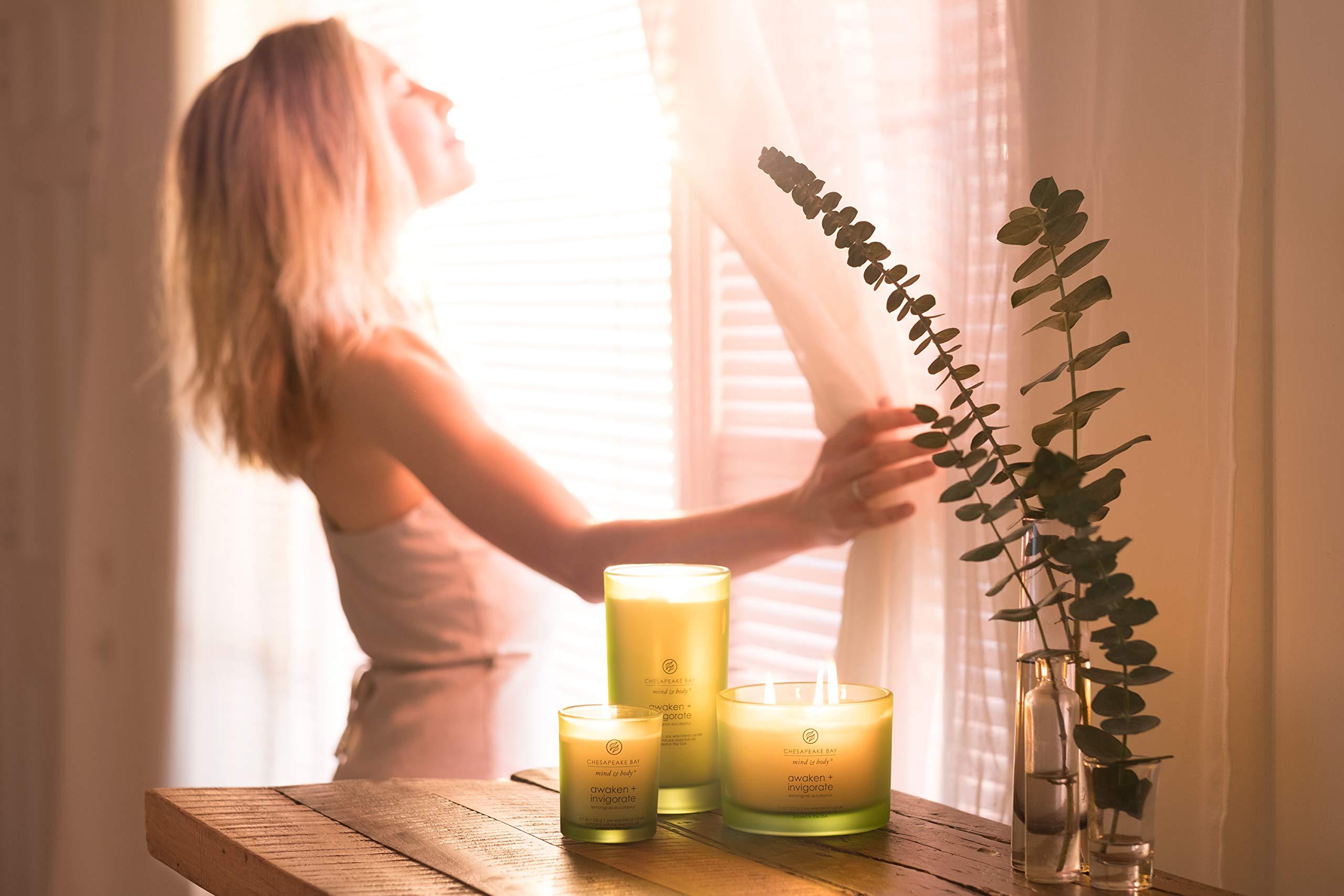 Chesapeake Bay Candle Scented Candle, Awaken + Invigorate (Lemongrass Eucalyptus), Coffee Table - Image 4