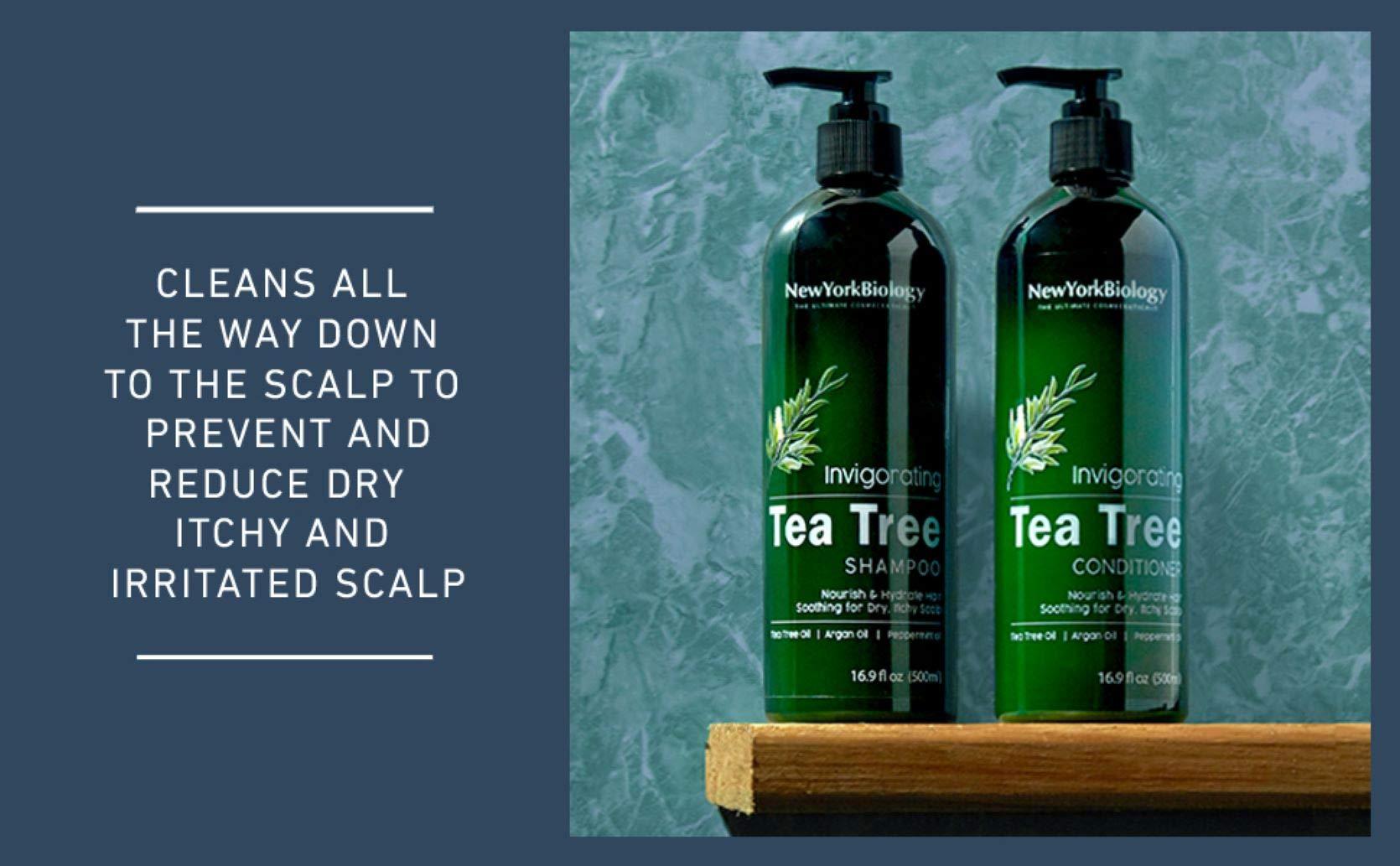 New York Biology Tea Tree Shampoo and Conditioner Set - Deep Cleanser - Relief for Dandruff and Dry Itchy Scalp - Therapeutic Grade - Helps Promote Hair Growth - 16.9 Fl Oz - Image 5