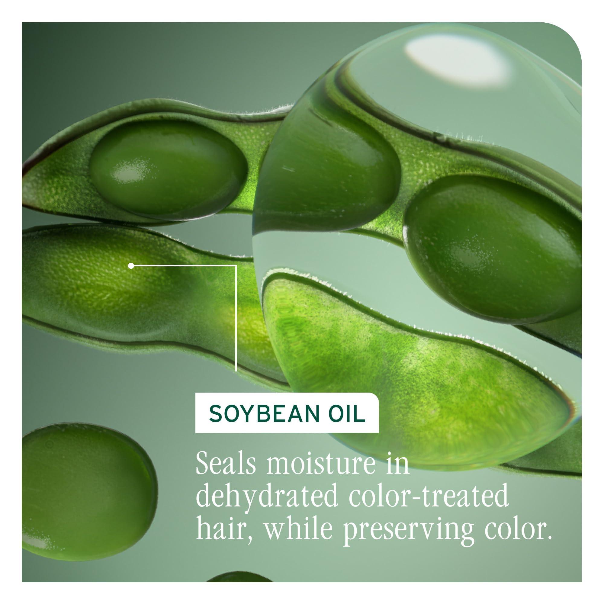 Biolage Color Last Shampoo - For Color-Treated Hair, Nourishes, Strengthens, Hydrates, Soybean Oil & Stearic Acid, Paraben & Mineral Oil-Free, Vegan, Packaging May Vary - Image 7