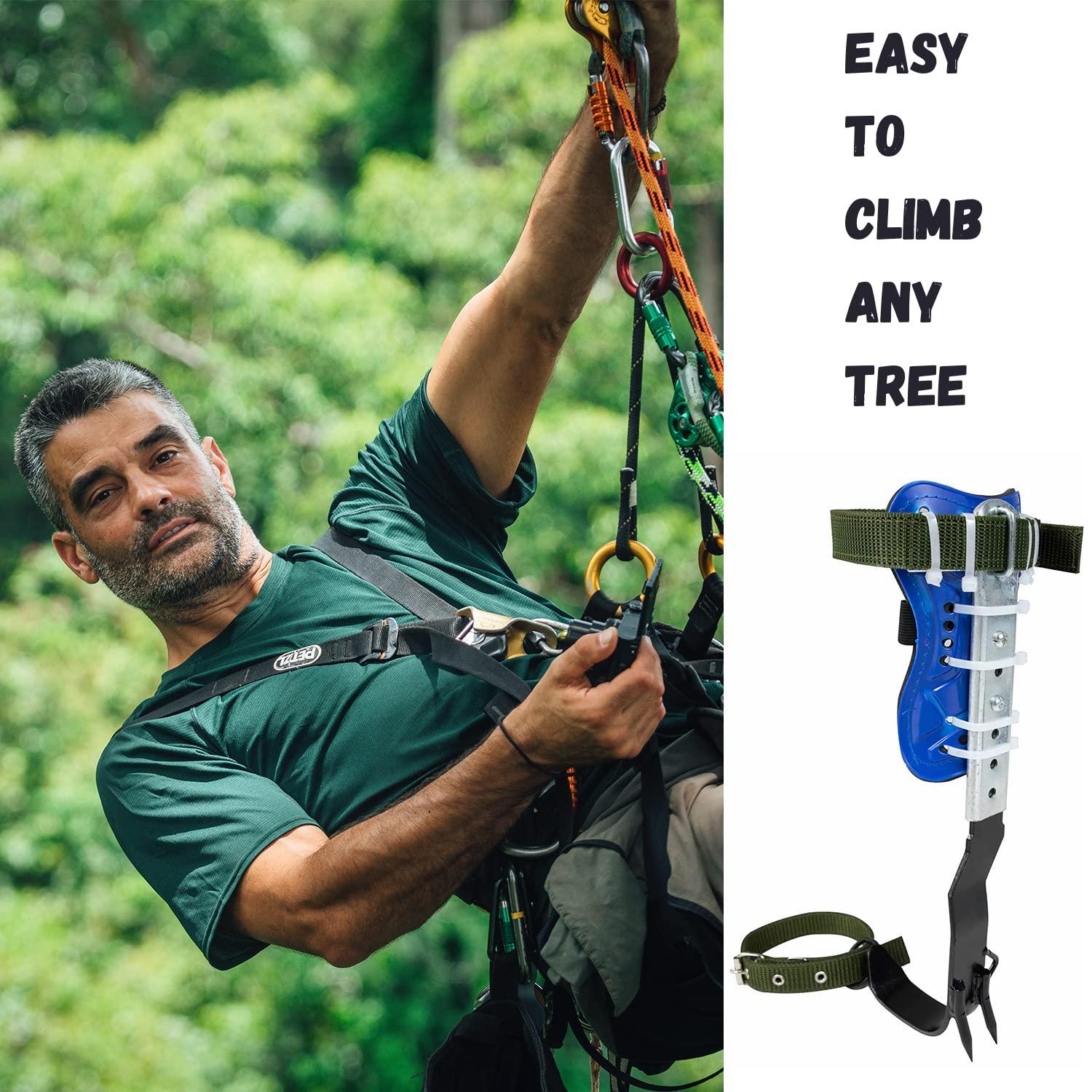 RANLOVE Tree Climbing Spikes Set, 304 Stainless Steel Adjustable Tree Climbing Spike 2 Gears and Non-Slip Pedal Trees, Picking Fruit - Image 5