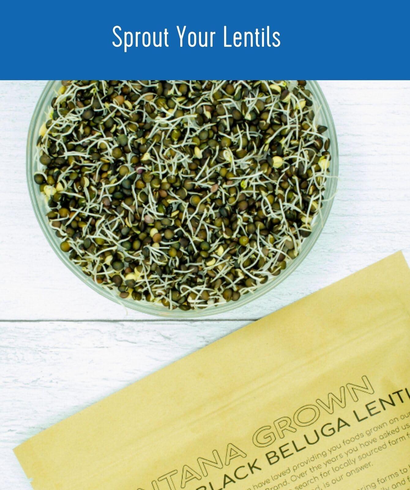 Black Beluga Lentils Bulk | 25 LBS | Non-GMO | Kosher | Vegan | Non-Irradiated - Image 6