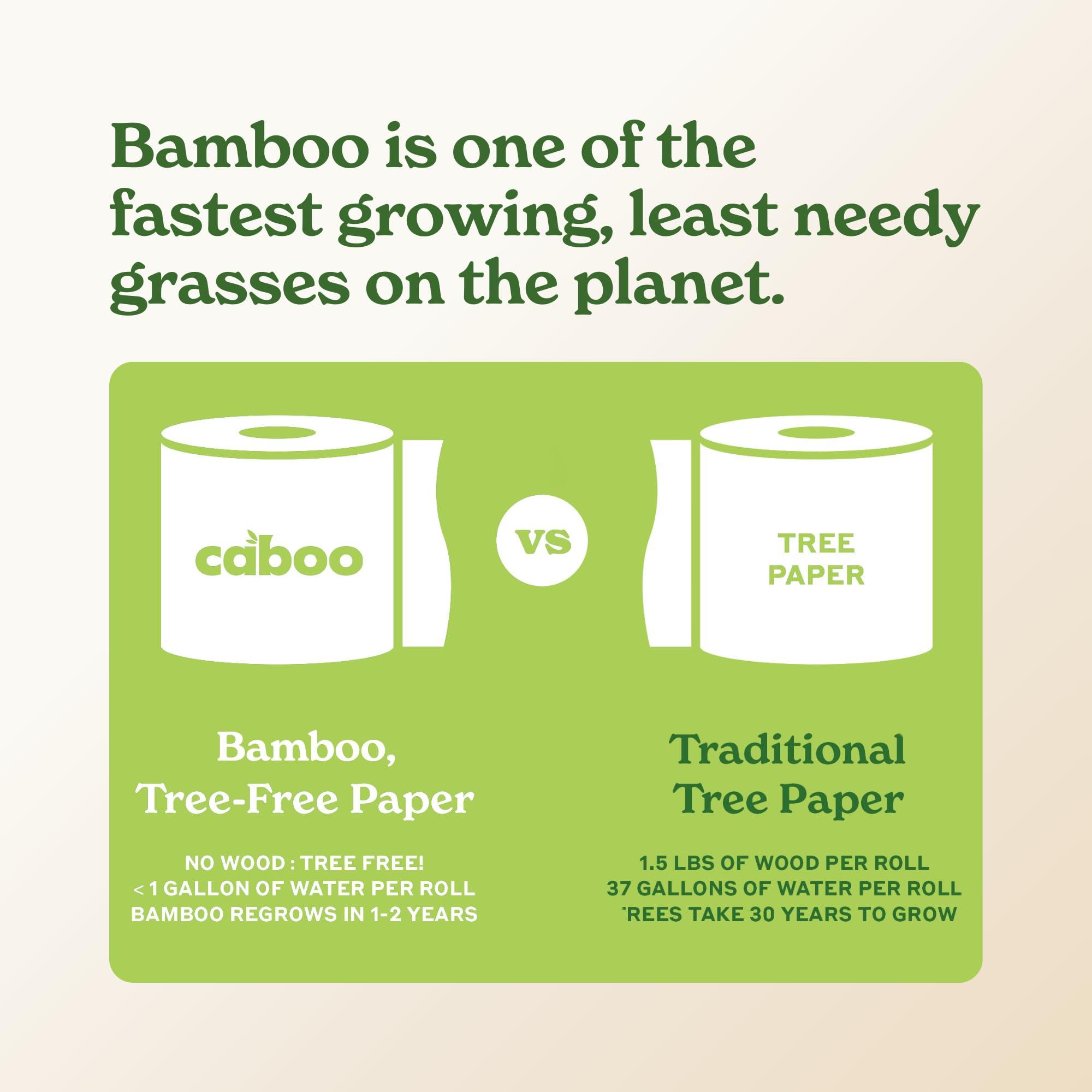 Caboo Tree Free Paper Towels, 6 Rolls, Eco Friendly, Earth Friendly, Sustainable Kitchen Paper Towels with Strong 2 Ply Sheets - Image 6