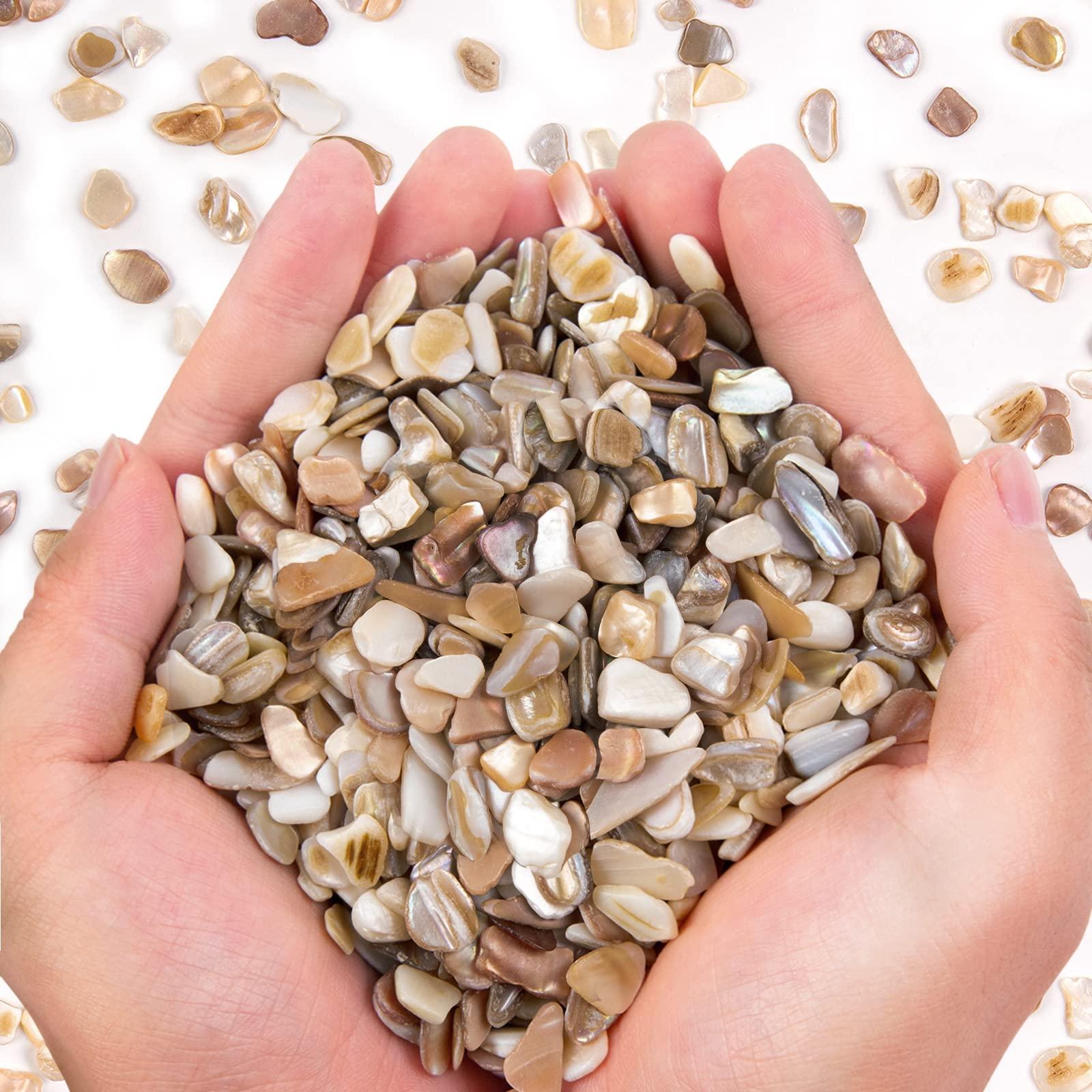 QICQDRAM Crushed Shells for Crafts About 1LB (405g/14.28oz) Small Natural Crushed Shells Bulk for Crafts DIY Beaching Wedding Decoration Vase Fillers (Natural Color)