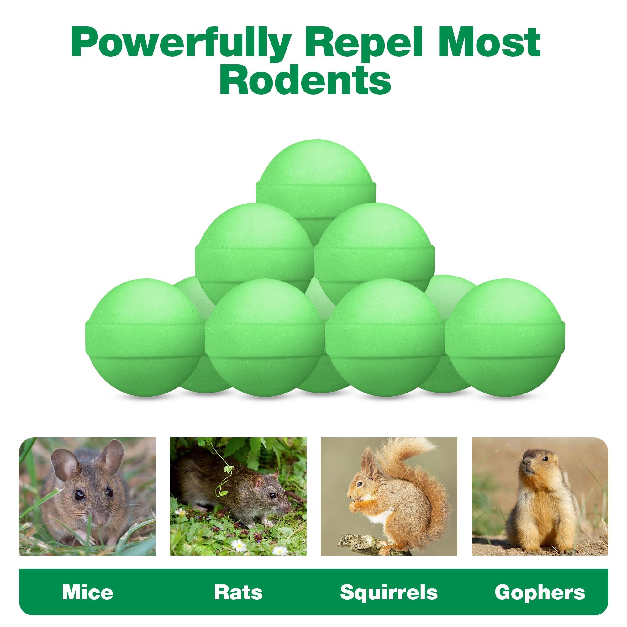48 Pack Peppermint Oil Mice Repellent - Powerful Rat Repellent Ball for Car Engine Garage Garden House Indoor Outdoor, Rodent Deterrent, Keep Mouse Out Natural Repellent for Pest Rodent, Pet Safe﻿ - Image 3