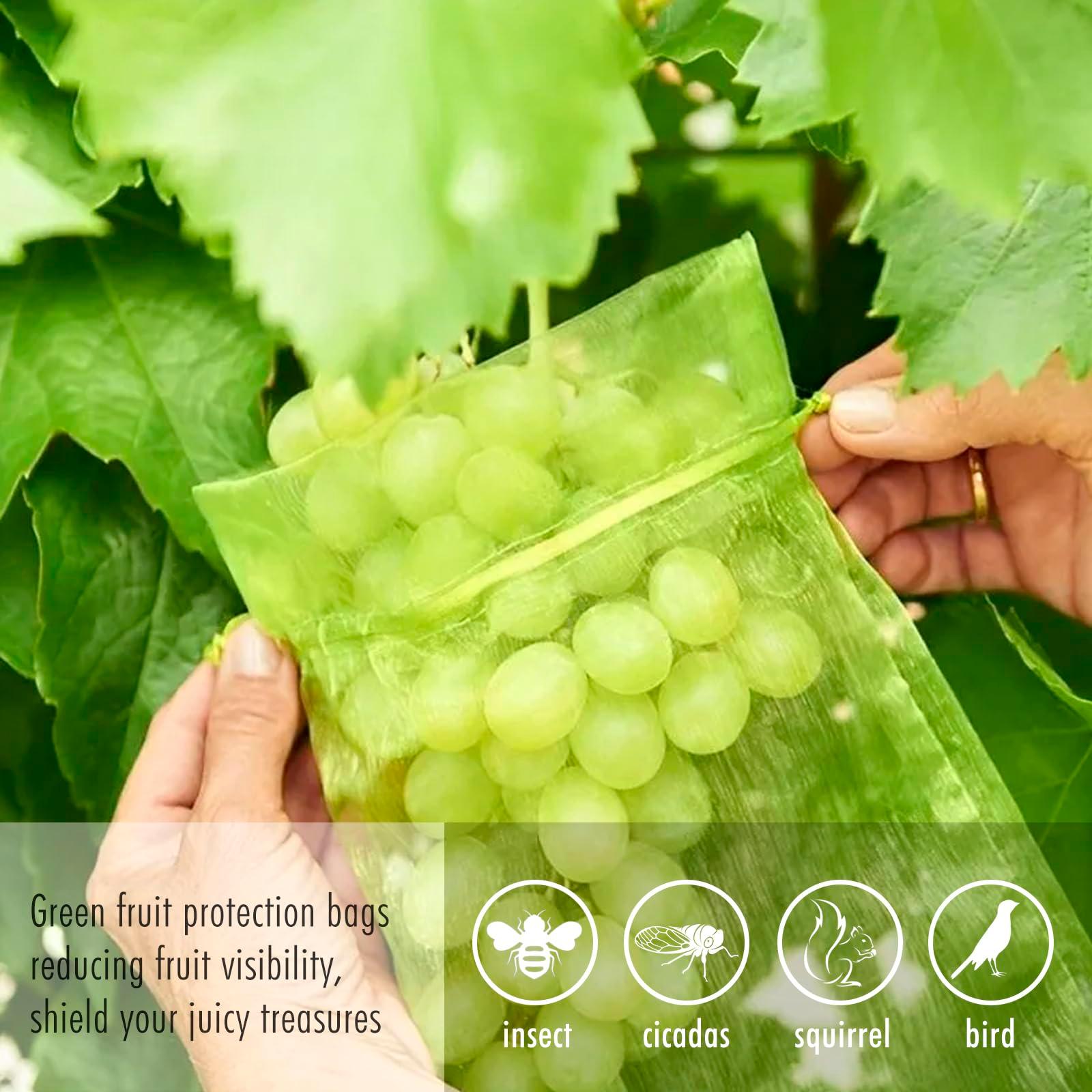 Fruit Protection Bags, Fetanten 50 PCS 6 x 8 Inch Mesh Drawstring Bag for Fruit Trees, Small Green Garden Fruit Plant Netting Cover Bag Protect Blueberry Tomato Apple Mango from Bird Insect Pest - Image 4
