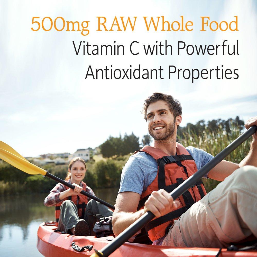 Garden of Life - Vitamin Code Raw VitaminC - 120 Vegan Capsules, 500mg Whole Food VitaminC with Bioflavonoids, Fruits & Veggies, Probiotics, Gluten Free Vitamin-C Supplements for Adults - Image 3