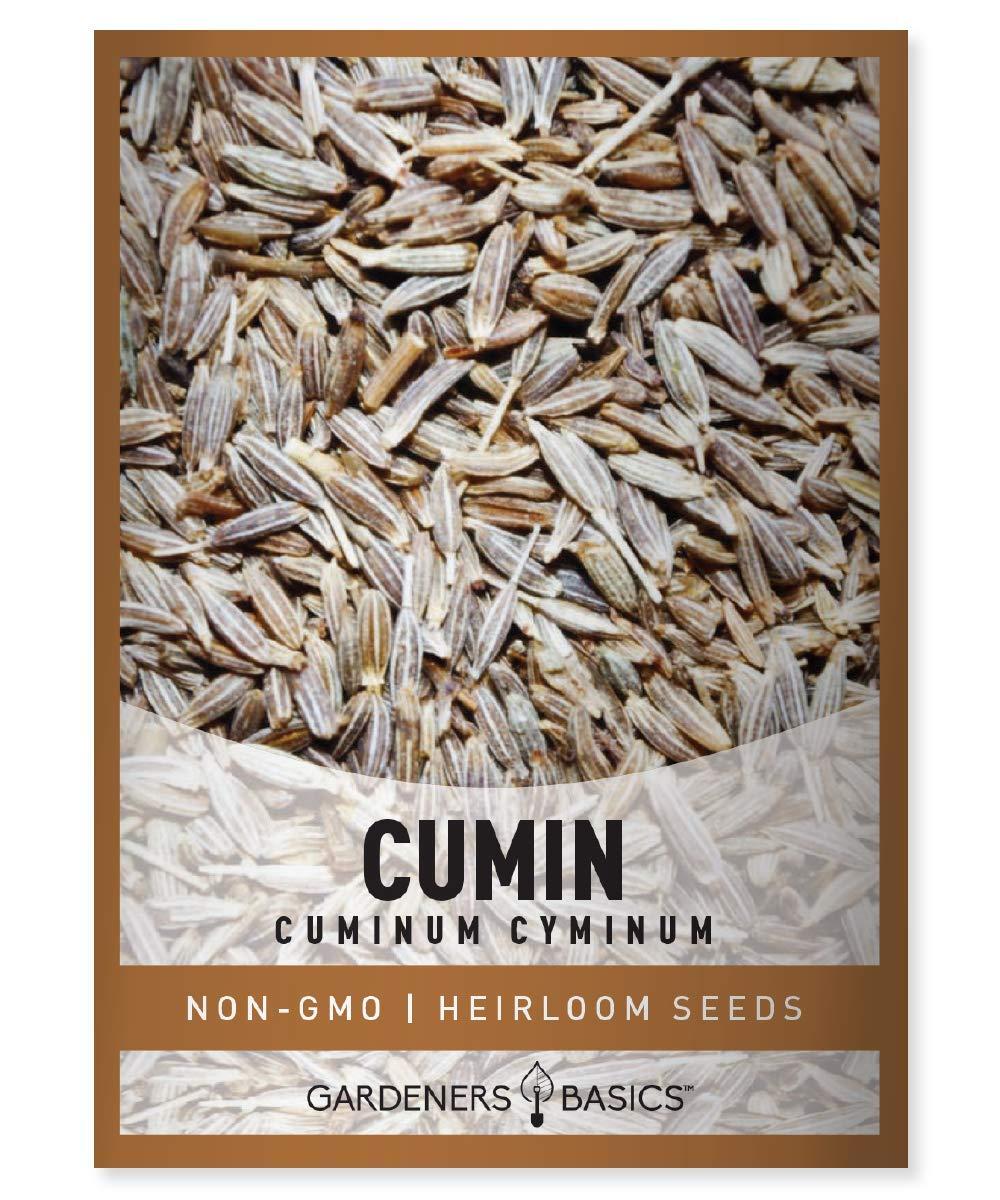 Gardeners Basics, Cumin Seeds for Planting is A Heirloom, Non-GMO Herb Variety- Cuminum Cyminum Herb Seeds Great for Indoor and Outdoor Gardening