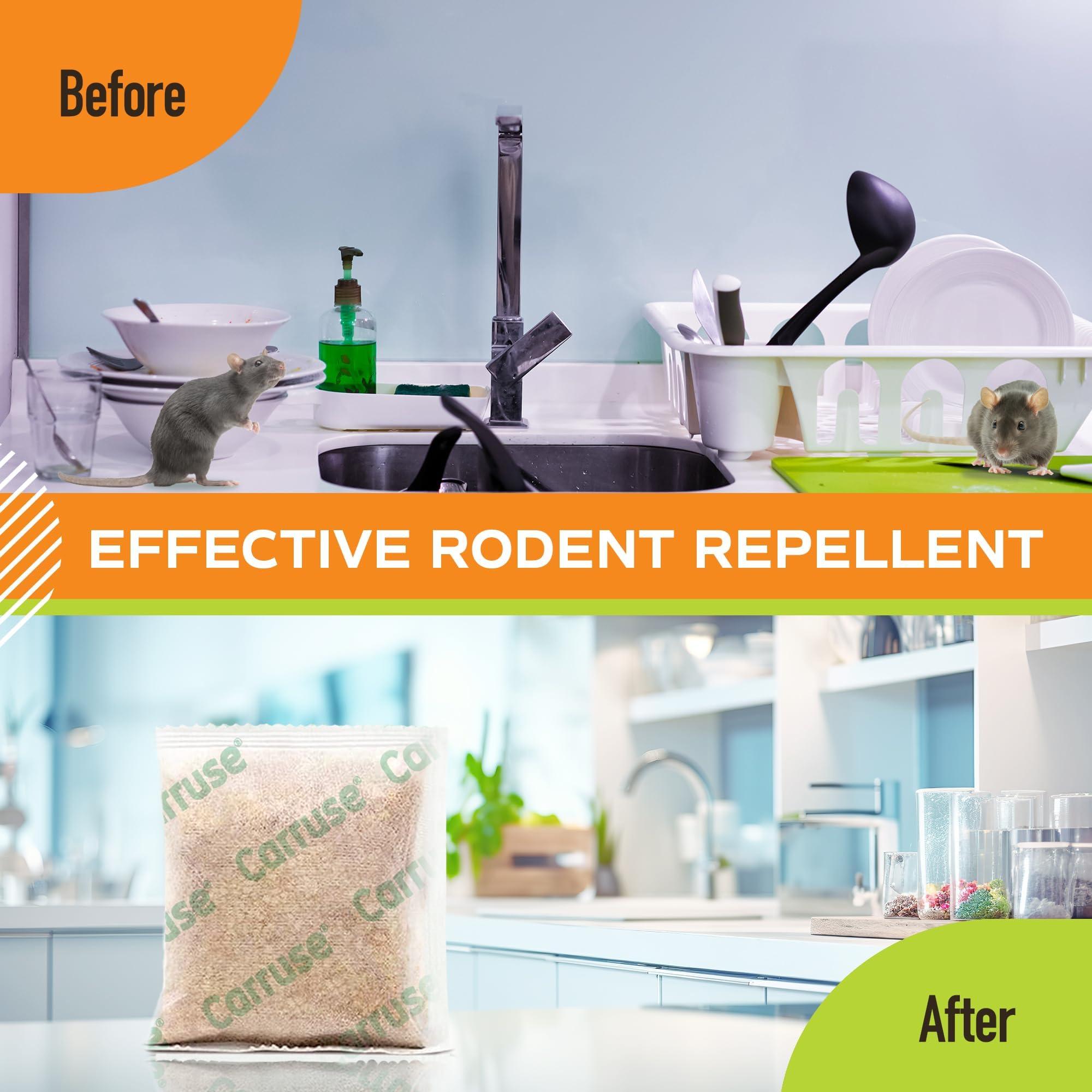 Mouse Rodent Repellent Peppermint Oils: Rate/Spiders/Moths/Ants/Roaches/Silverfish Deterrent - Squirrel Repellent - Car Engines/RV/Truck/Boat/Garage/Shed/Cabin - Indoor Mice Repellent Pouches - Image 2
