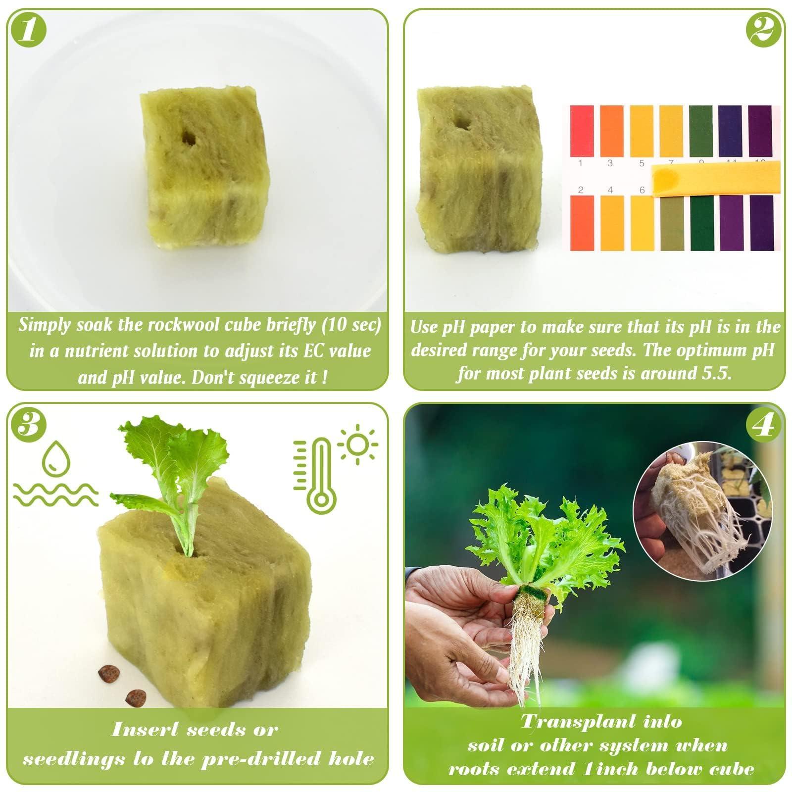 Halatool 1 Inch Rockwool Cubes Garden Rock Wool Stonewool Grow Cubes Starter Plugs for Hydroponics Soilless Cultivation Clone Plants Germination Start (4 Sheets, 200 Plugs in Total) - Image 3
