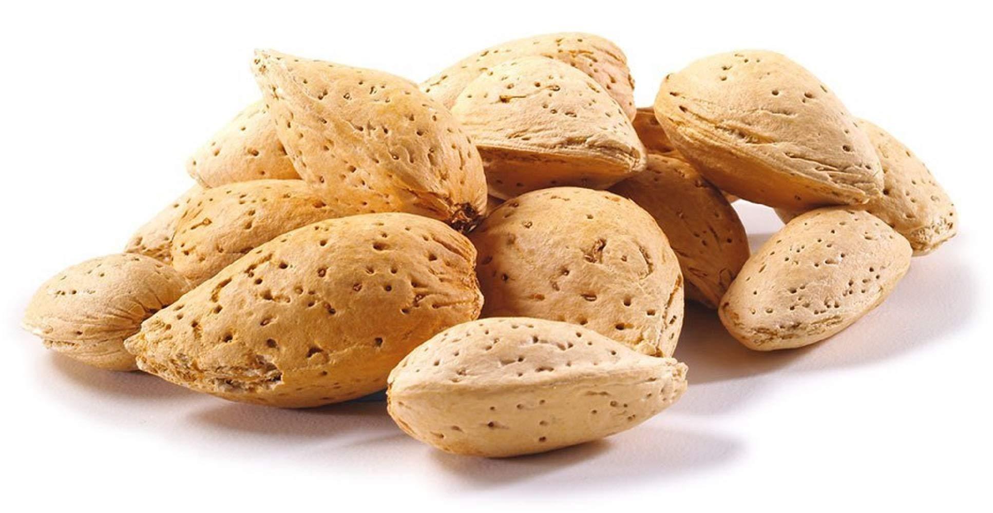 Natural In Shell Raw California Almonds (2 Lbs.) - Pure Goodness Bursting with Natural Flavors - Vegan & Keto Friendly - Healthy for Snacking - Farm Fresh Nuts Brand - Image 2