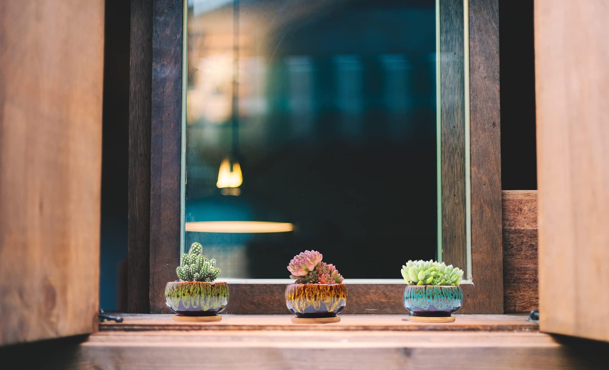 LAMDAWN Cute Ceramic Succulent Garden Pots, Planter with Drainage and Attached Saucer, Set of 5 -Plants Not Included (Round) - Image 2