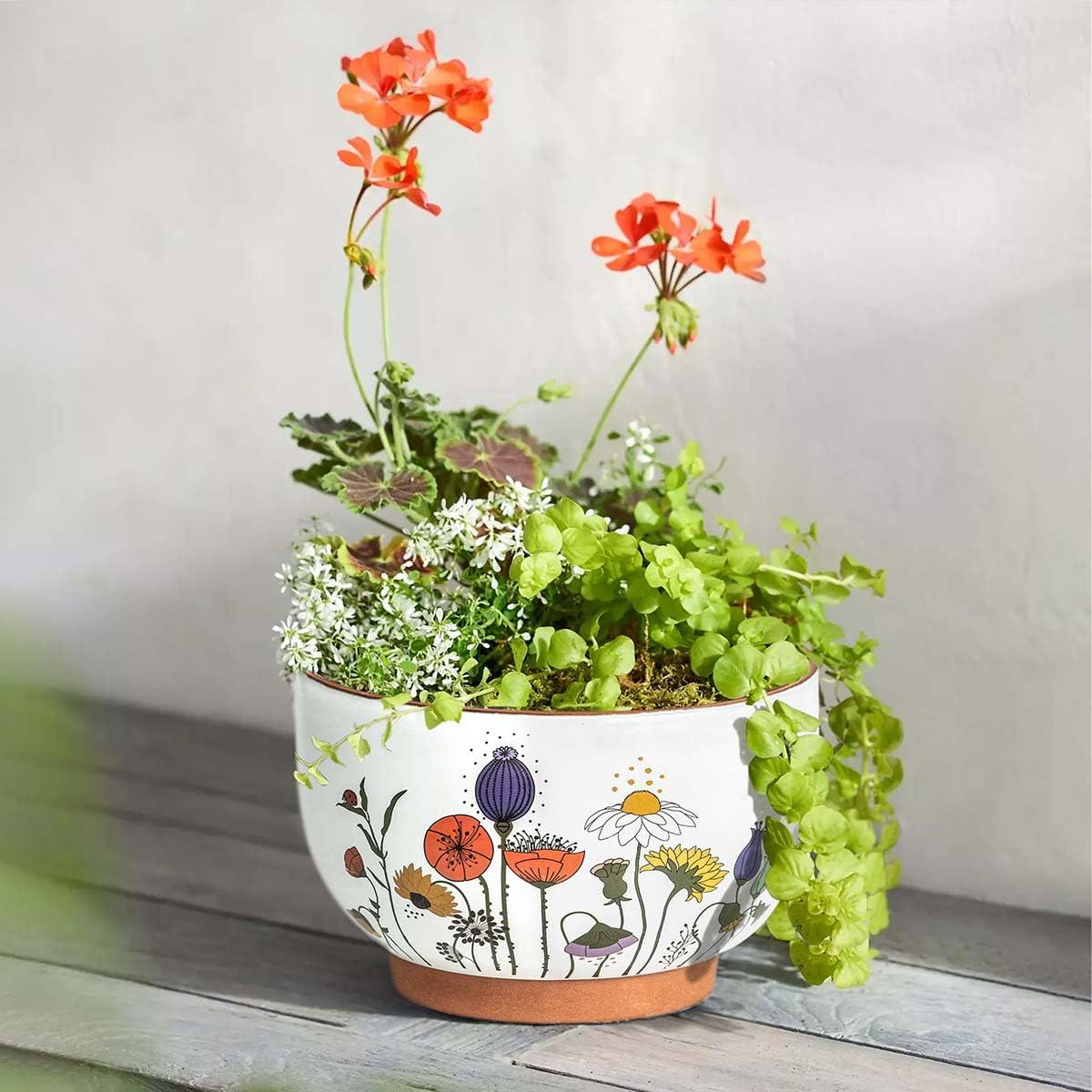 YBX 8 Inch & 6 Inch Terracotta Pots, Plant Pots Indoor, Flower Pots for Indoor Plants with Drainage, Planters with Floral Accent for Indoor Plants (French Country) - Image 2