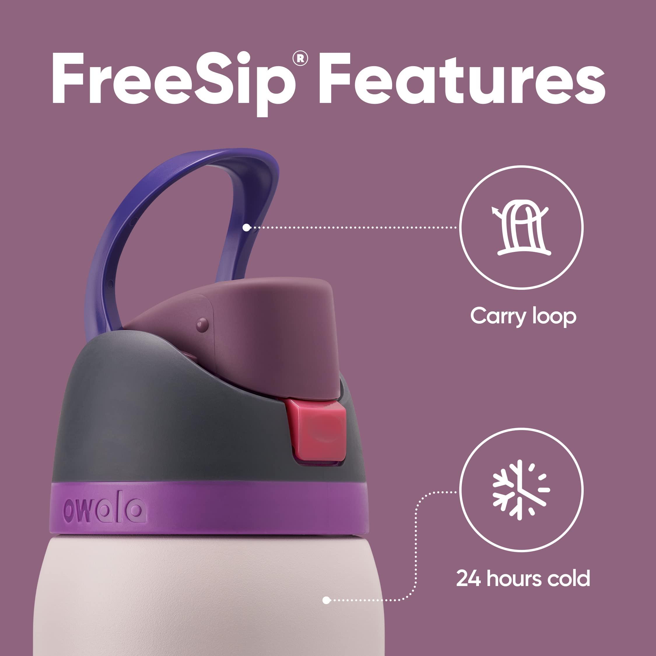 Owala FreeSip Insulated Stainless Steel Water Bottle with Straw for Sports, Travel, and School BPA-Free Sports Water Bottle, 32 oz, Dreamy Field - Image 3