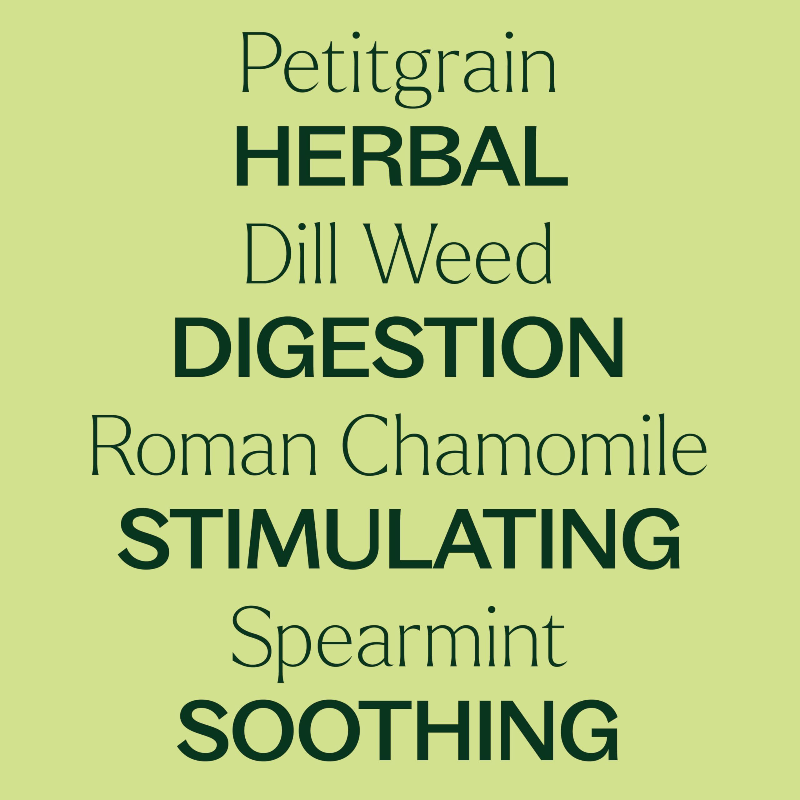 Plant Therapy KidSafe Tummy All Better Essential Oil Blend Pre-Diluted Roll-On 10 mL (1/3 oz) 100% Pure, Therapeutic Grade - Image 4