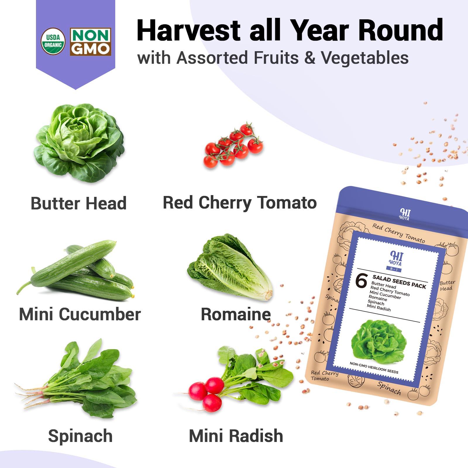 Salad Seed Pods, Grow Anything Kit for All Hydroponics Growing Systems, 8 Pods with 600+ Seeds of Red Cherry Tomato, Butter Head, Romaine, Spinach, Mini Cucumber and Radish - Image 4