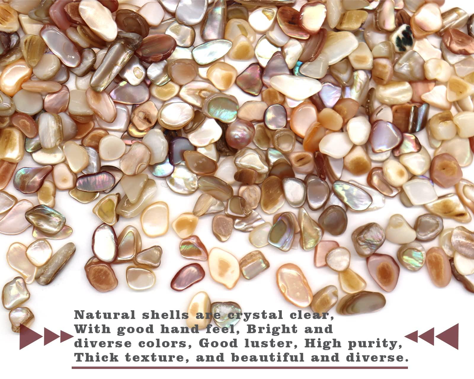 Small Mini Natural Crushed Mother of Pearl Shells for Weddings Vase Filler Home Décor, and Crafts 32 oz (2 lb), Colorful - Image 3