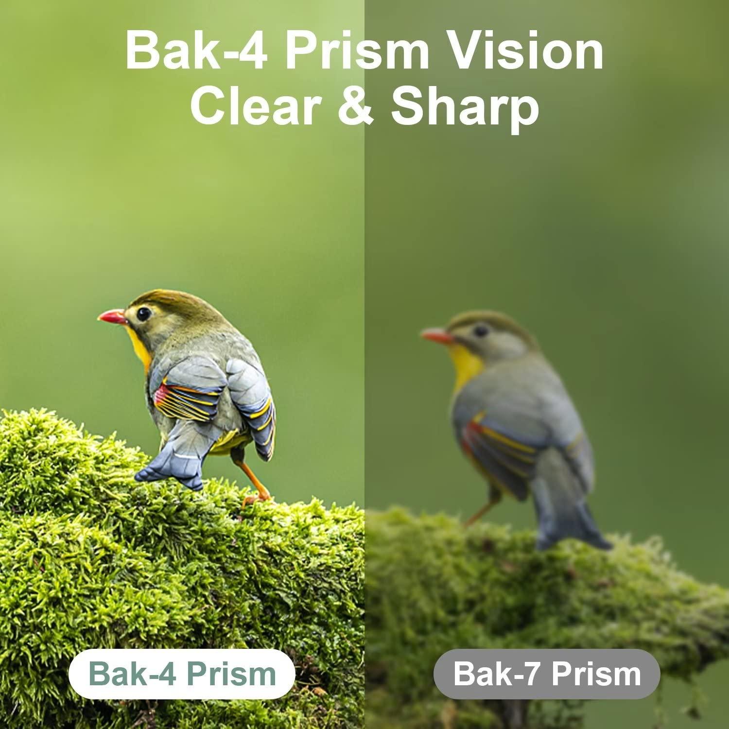 DRANBOL 12X25 Mini Pocket Binoculars for Adults Kids, Small Compact Binoculars for Bird Watching, Opera Concert - Image 2