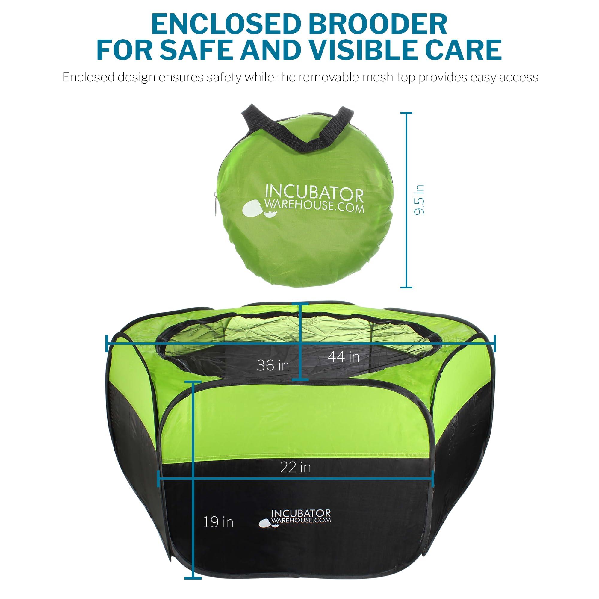 Incubator Warehouse Insta Brooder™ Enclosed Brooder Pen for Hatchlings - Image 2