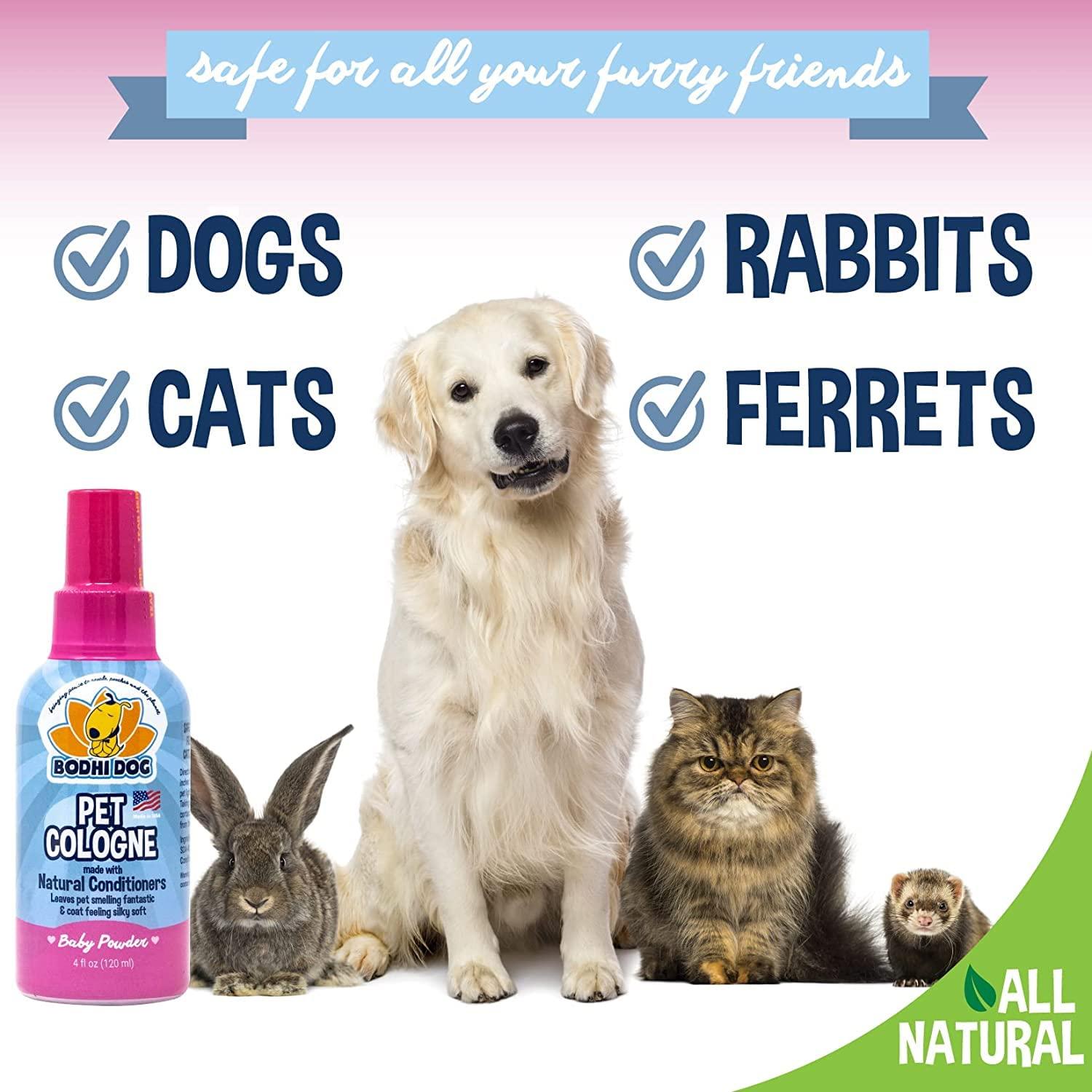 Bodhi Dog Baby Powder Scented Cat & Dog Cologne 4oz + Oatmeal Dog Shampoo & Conditioner for Pet Grooming 8oz | Moisturizing Dog Shampoo for Sensitive Skin | Deodorizing Cat and Dog Grooming Bundle - Image 3